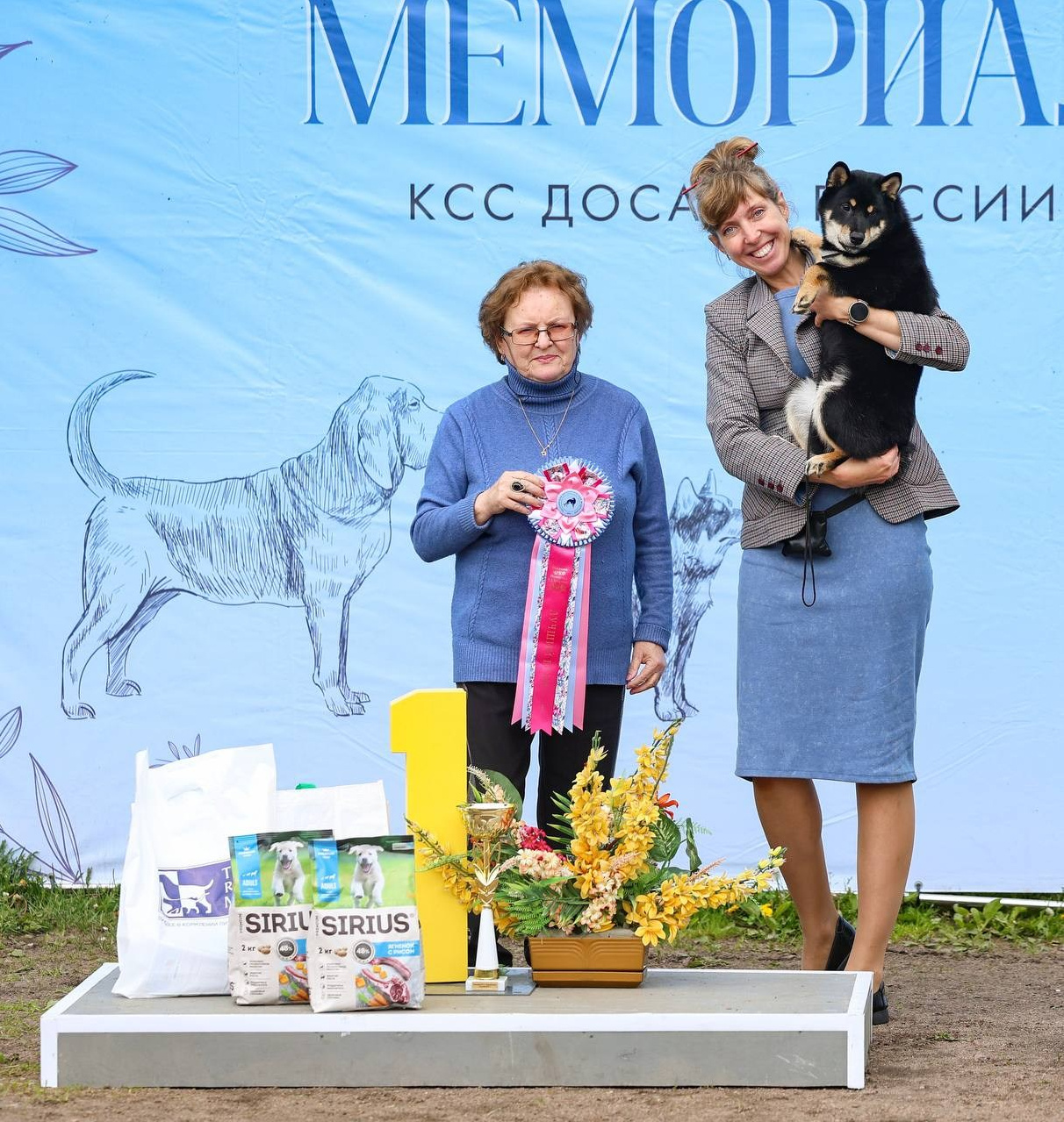 Выставка ранга САС ЧРКФ Санкт-Петербург. Питомник сиба-ину «Sharm Grais» в Краснодаре