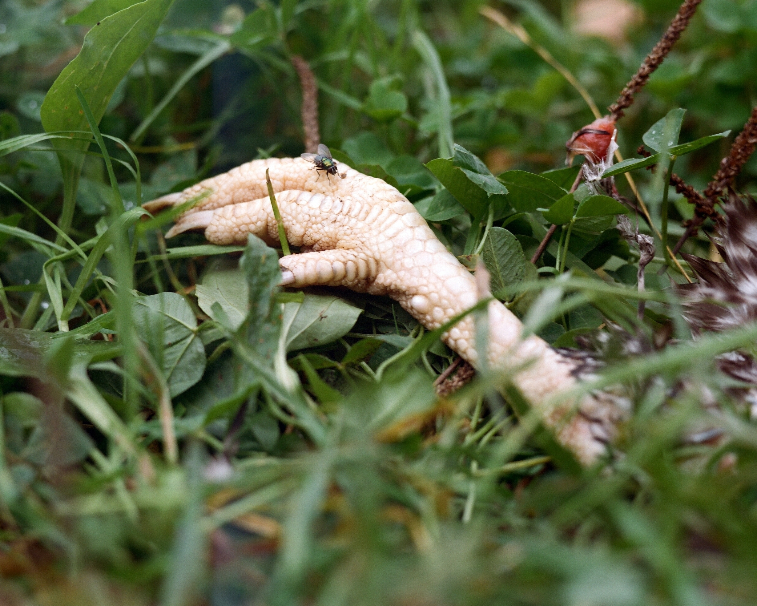 Group exhibition at the ''Khodynka Gallery''. Екатерина Васильева художник, куратор и преподаватель