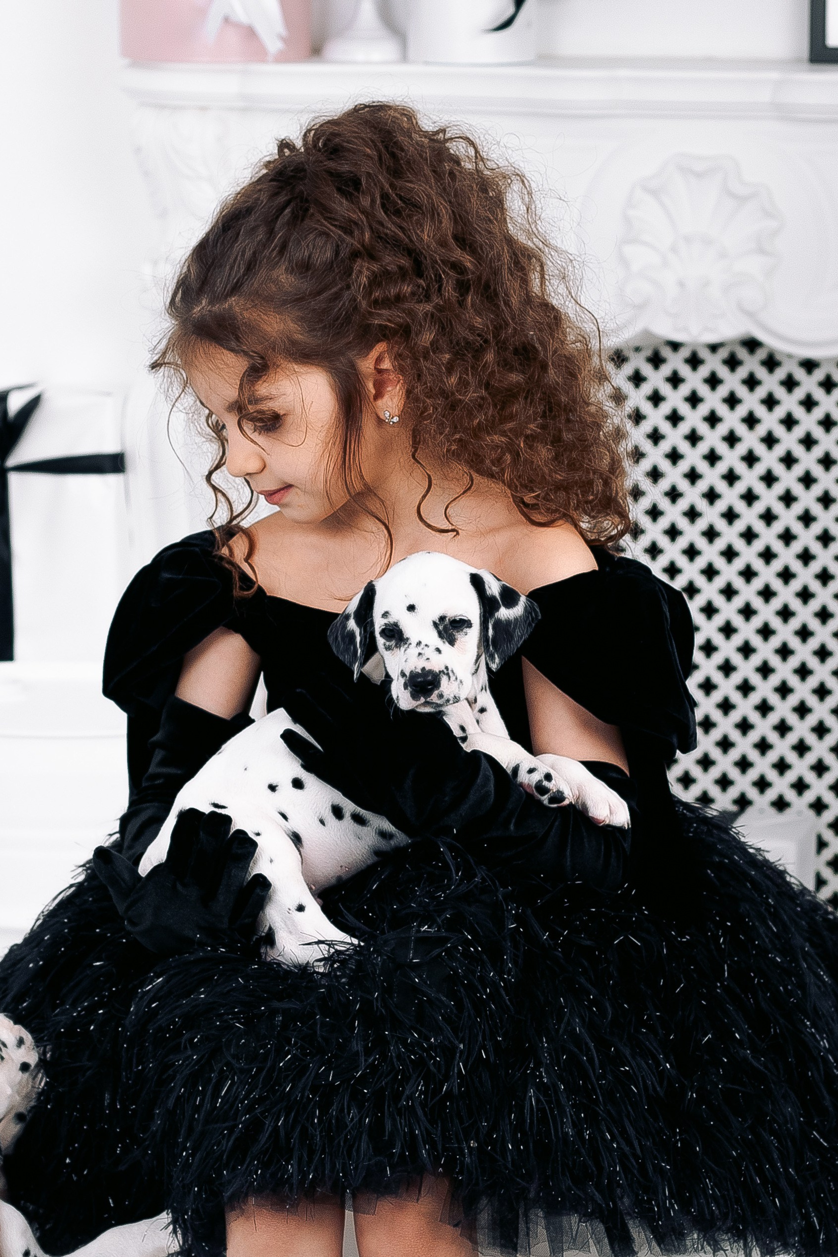 Новогодняя фотосессия с щенками далматинцами. Фотограф в Санкт-Петербурге, Анна Скворцова