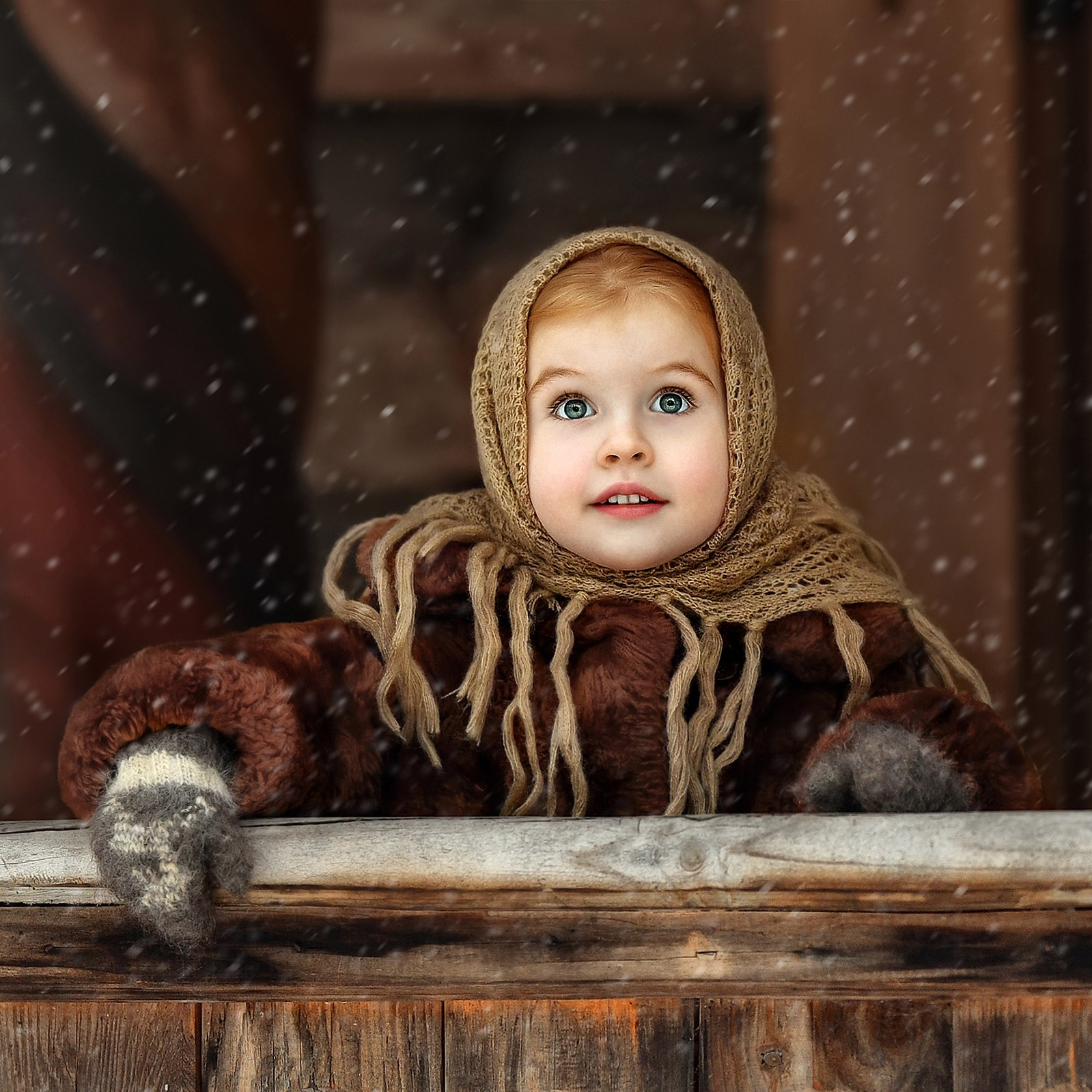 Стоимость. Портфолио