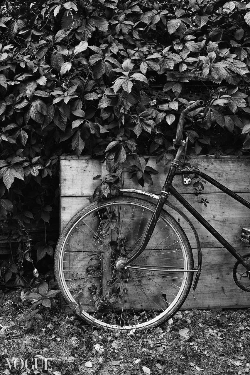 Публикации. Фотограф г. Тамбов г. Воронеж Богдан Тарасов