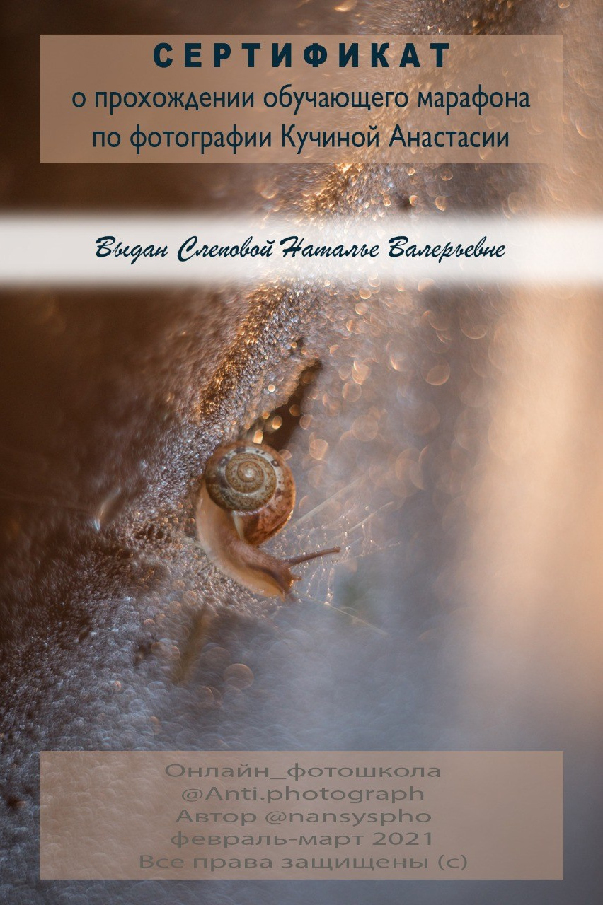 Сертификаты. Съемка Таинств Крещения Венчания, детские и семейные съемки в Пензе