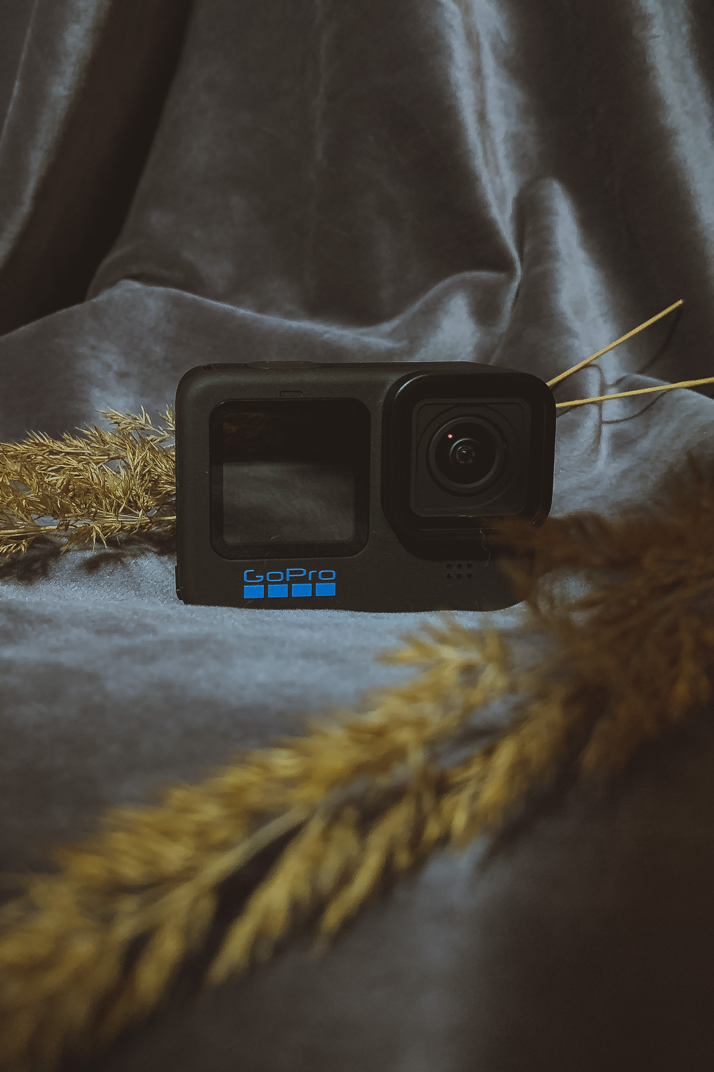 Услуги. Фотосессии Фотодни Псков СПб