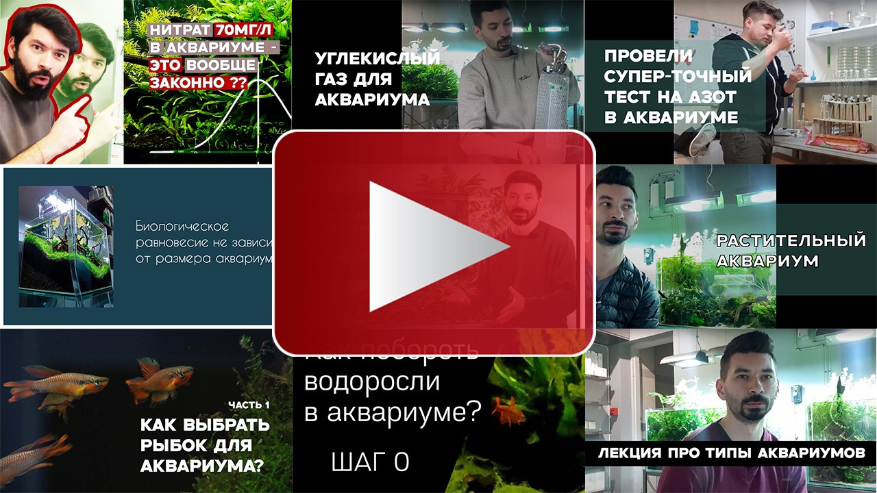 Аквариумист Максим Ерёмин. Aqua Maxim