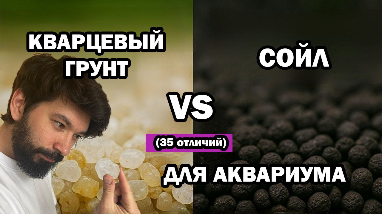 Какой грунт лучше для аквариума? Soil или кварцевый грунт?. Home
