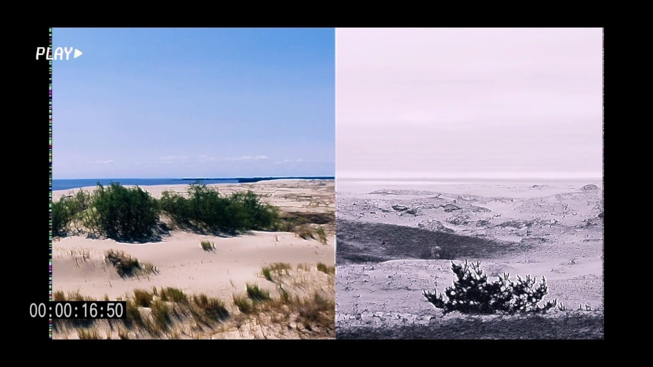 Ольга Лончакова, фотограф, режиссер