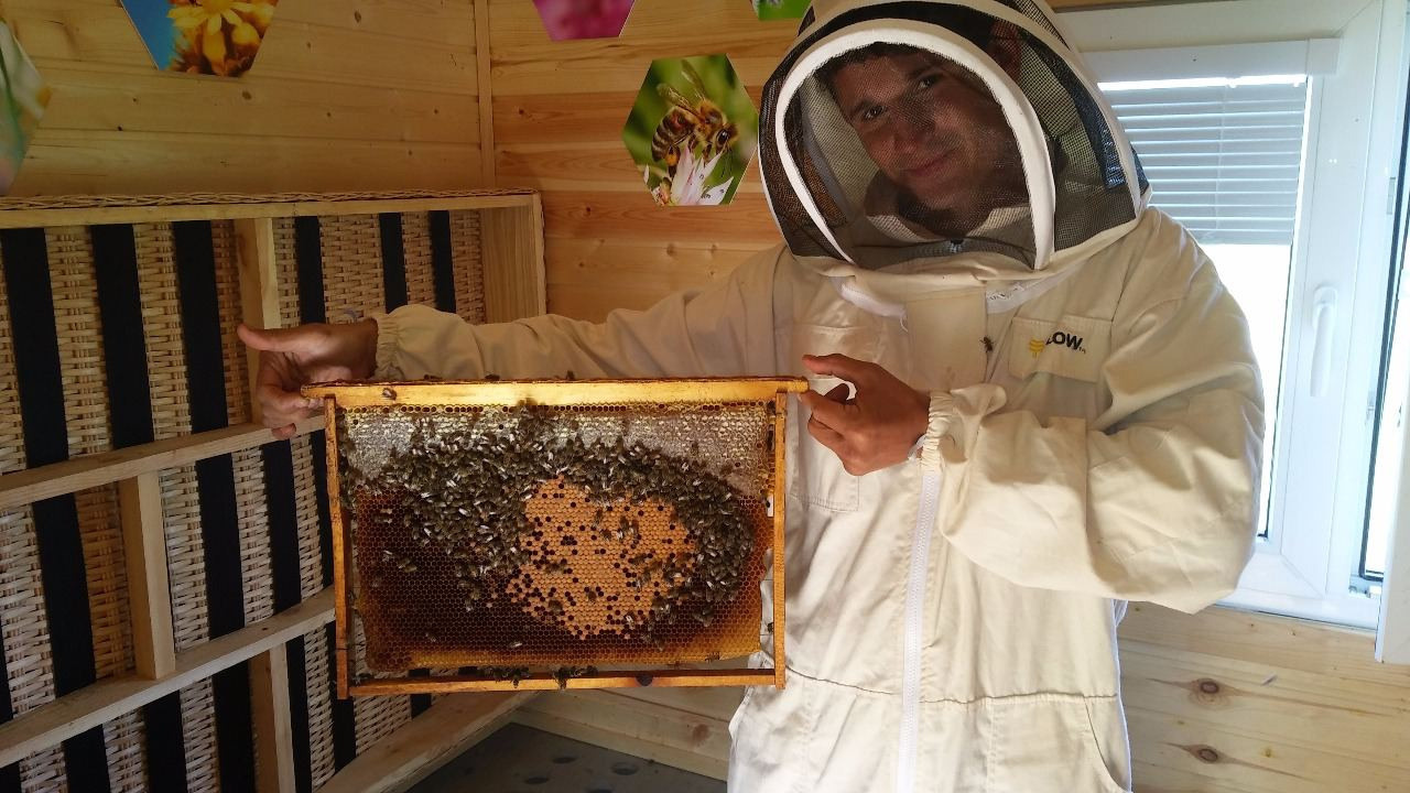 Пасека экофермы и работы на ней. Эко отдых в Подмосковье в эко-отеле Марии Гиппенрейтер