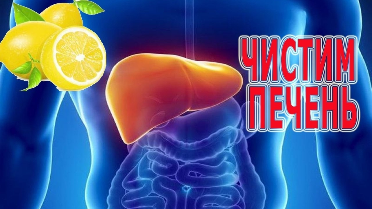Весна — время чистки печени. Медицина с душой