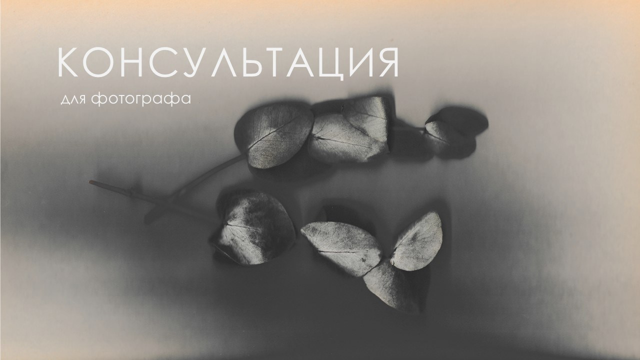 Обучение. Фотограф в Москве — Евгения Прокопенко