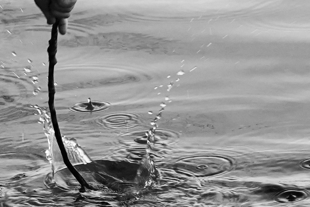 Круг жизни. Пылина Ирина — современная фотография