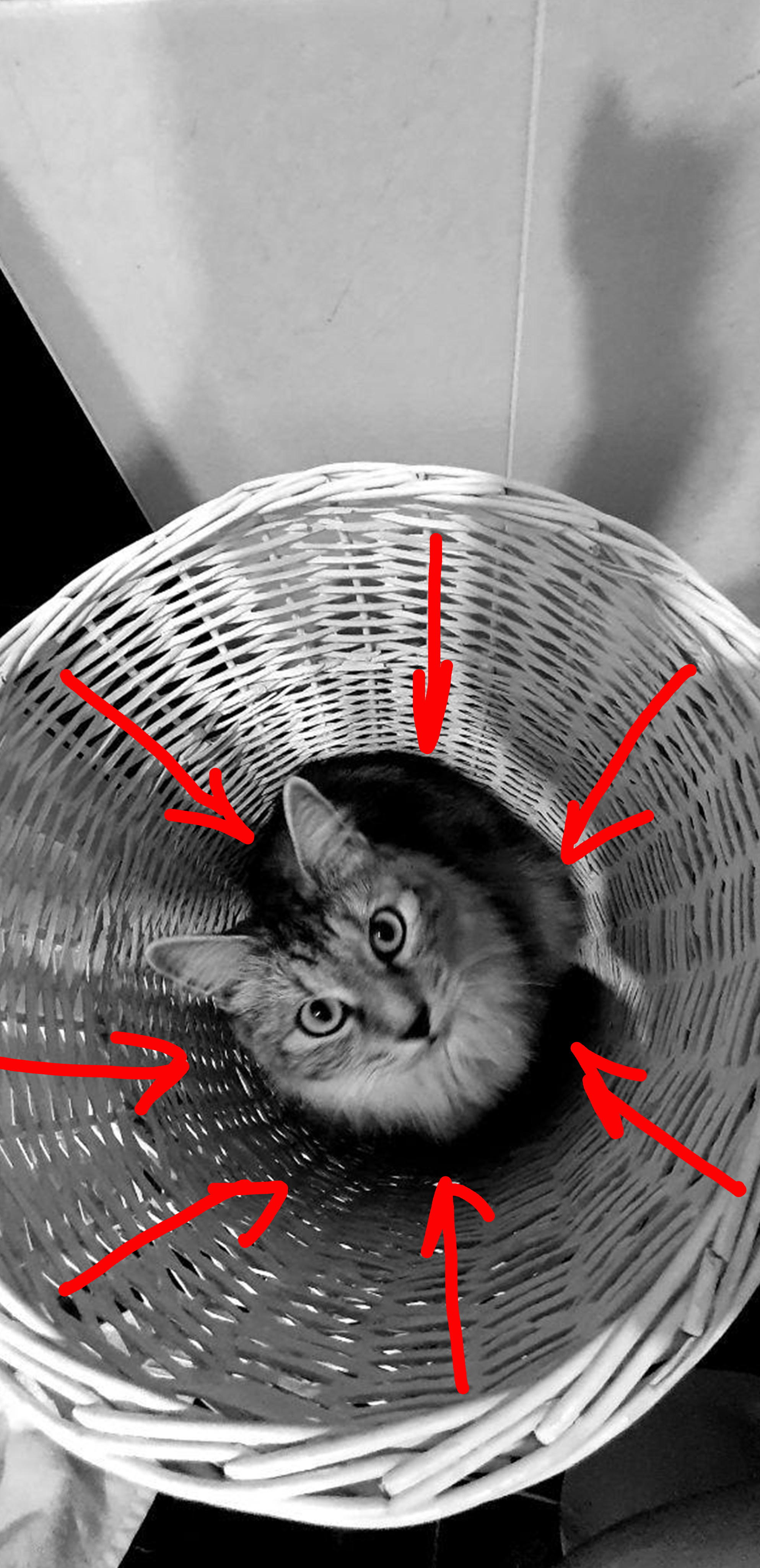 Съёмка на телефон. Часть 2. Фотограф в жанре Ню. Татьяна Хасанович. Красноярск