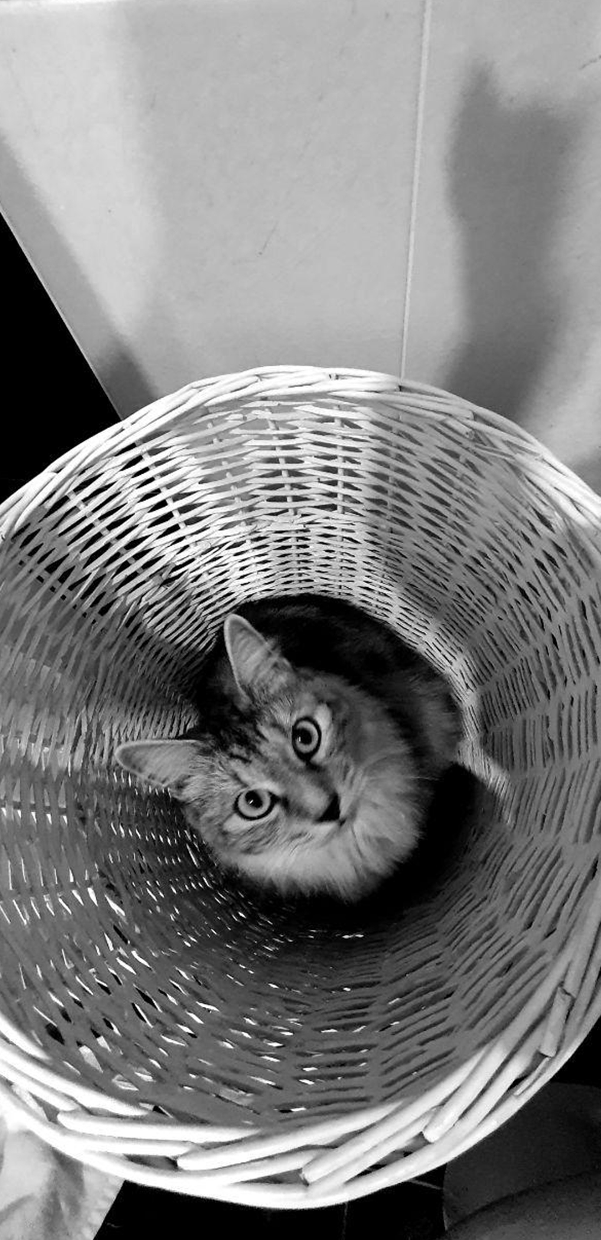 Съёмка на телефон. Часть 2. Фотограф в жанре Ню. Татьяна Хасанович. Красноярск