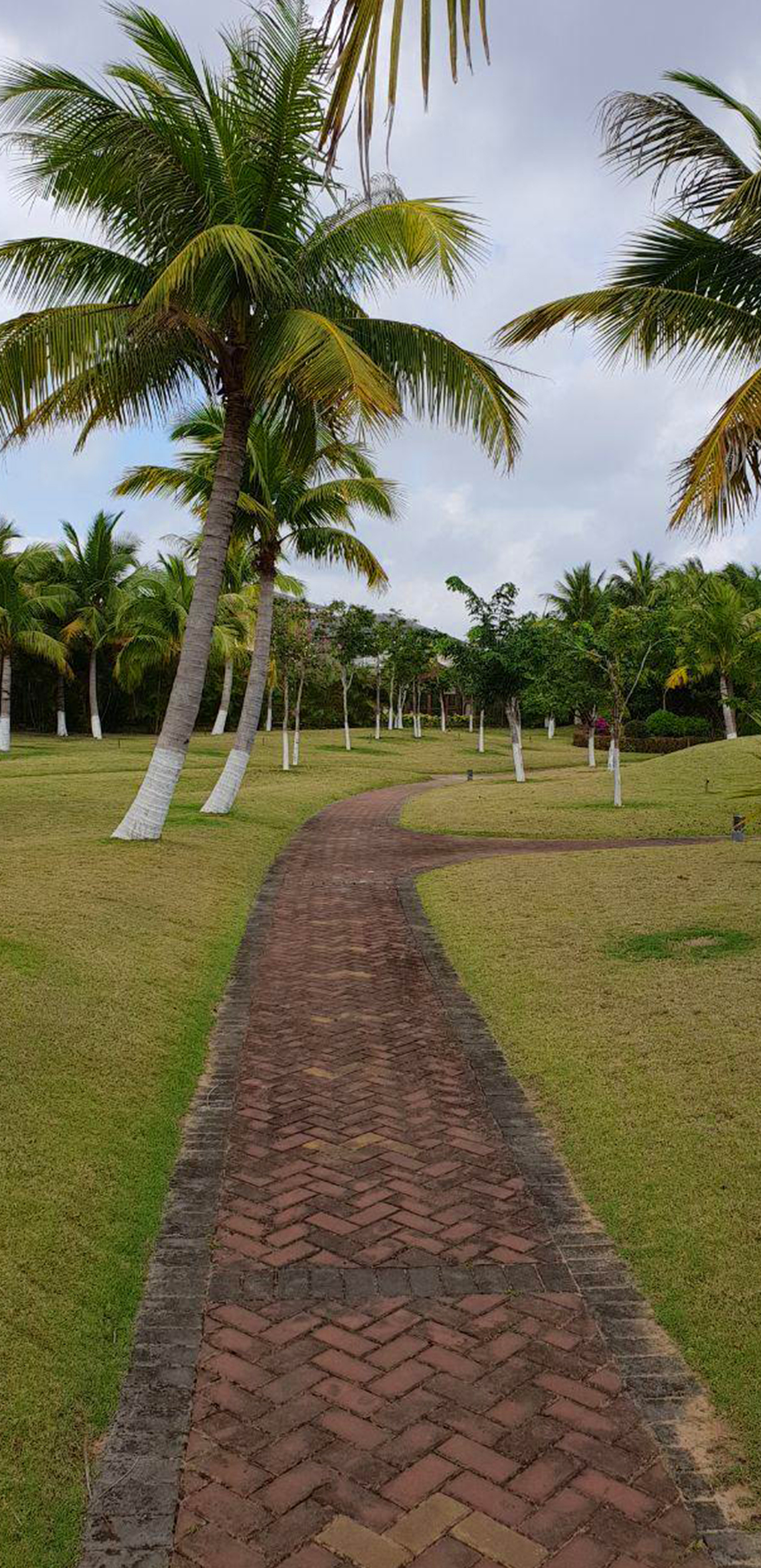 Съёмка на телефон. Часть 2. Фотограф в жанре Ню. Татьяна Хасанович. Красноярск