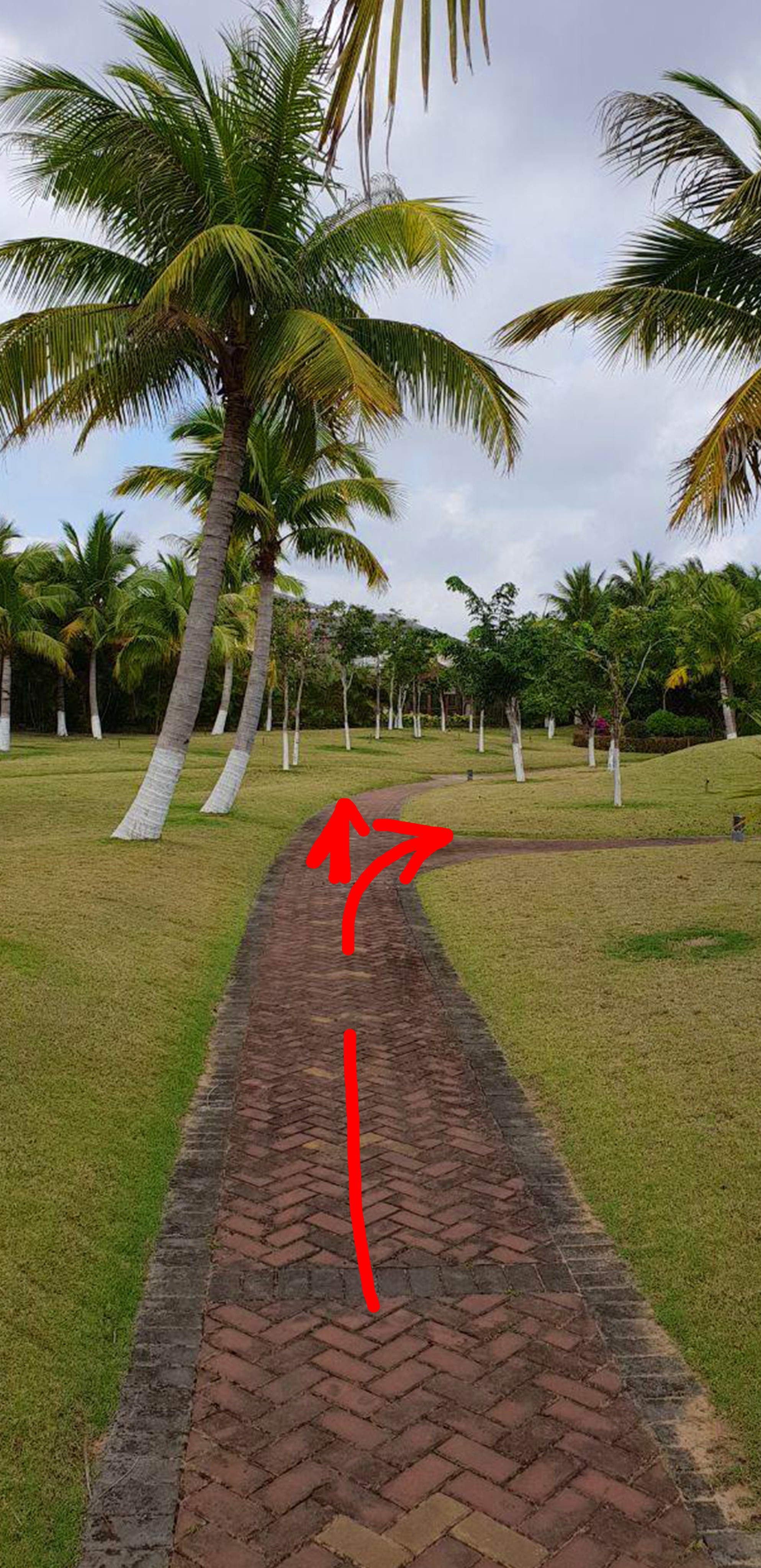 Съёмка на телефон. Часть 2. Фотограф в жанре Ню. Татьяна Хасанович. Красноярск