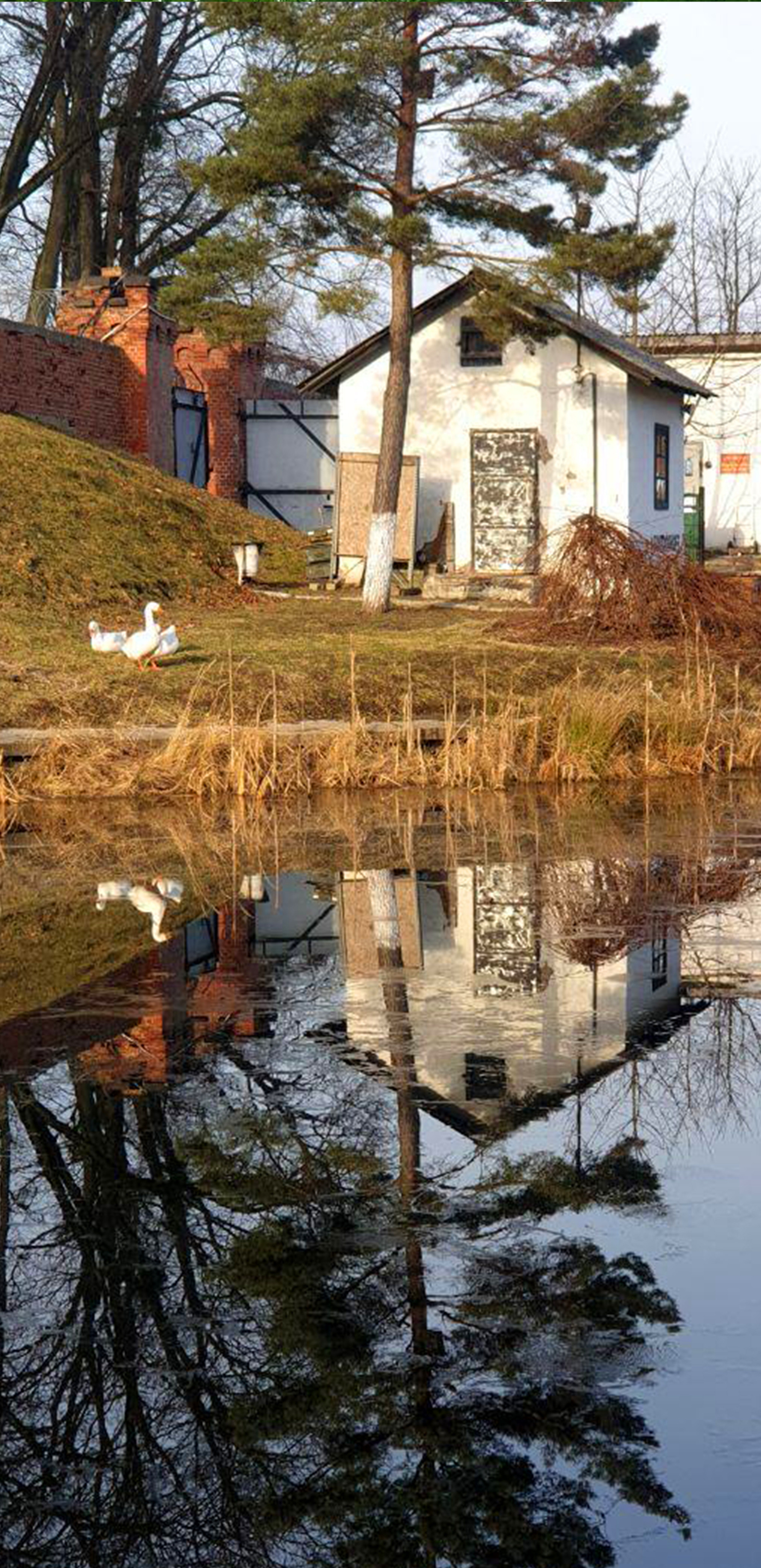 Съёмка на телефон. Часть 2. Фотограф в жанре Ню. Татьяна Хасанович. Красноярск