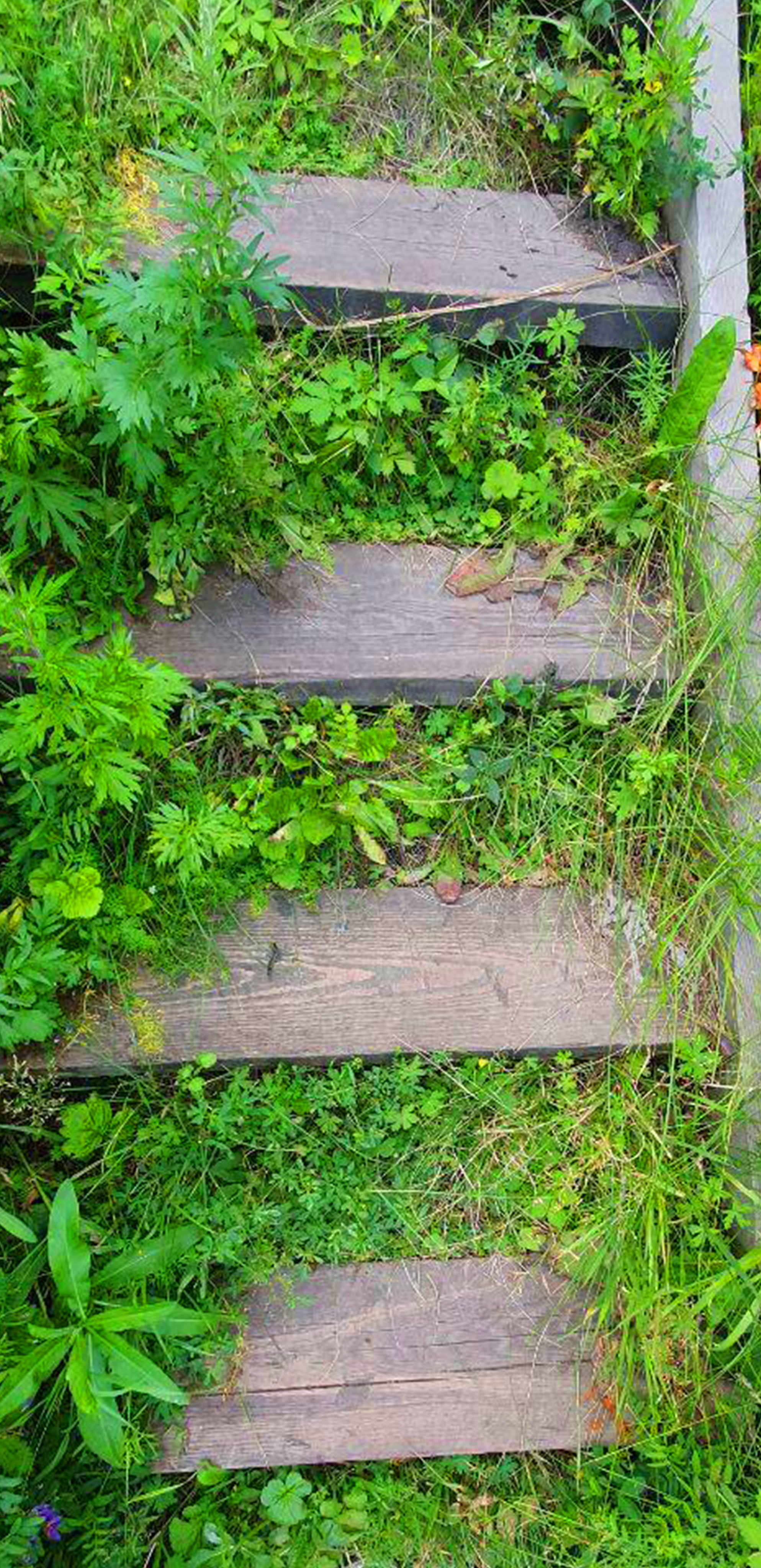 Мобильная съёмка. Часть 3. Фотограф в жанре Ню. Татьяна Хасанович. Красноярск