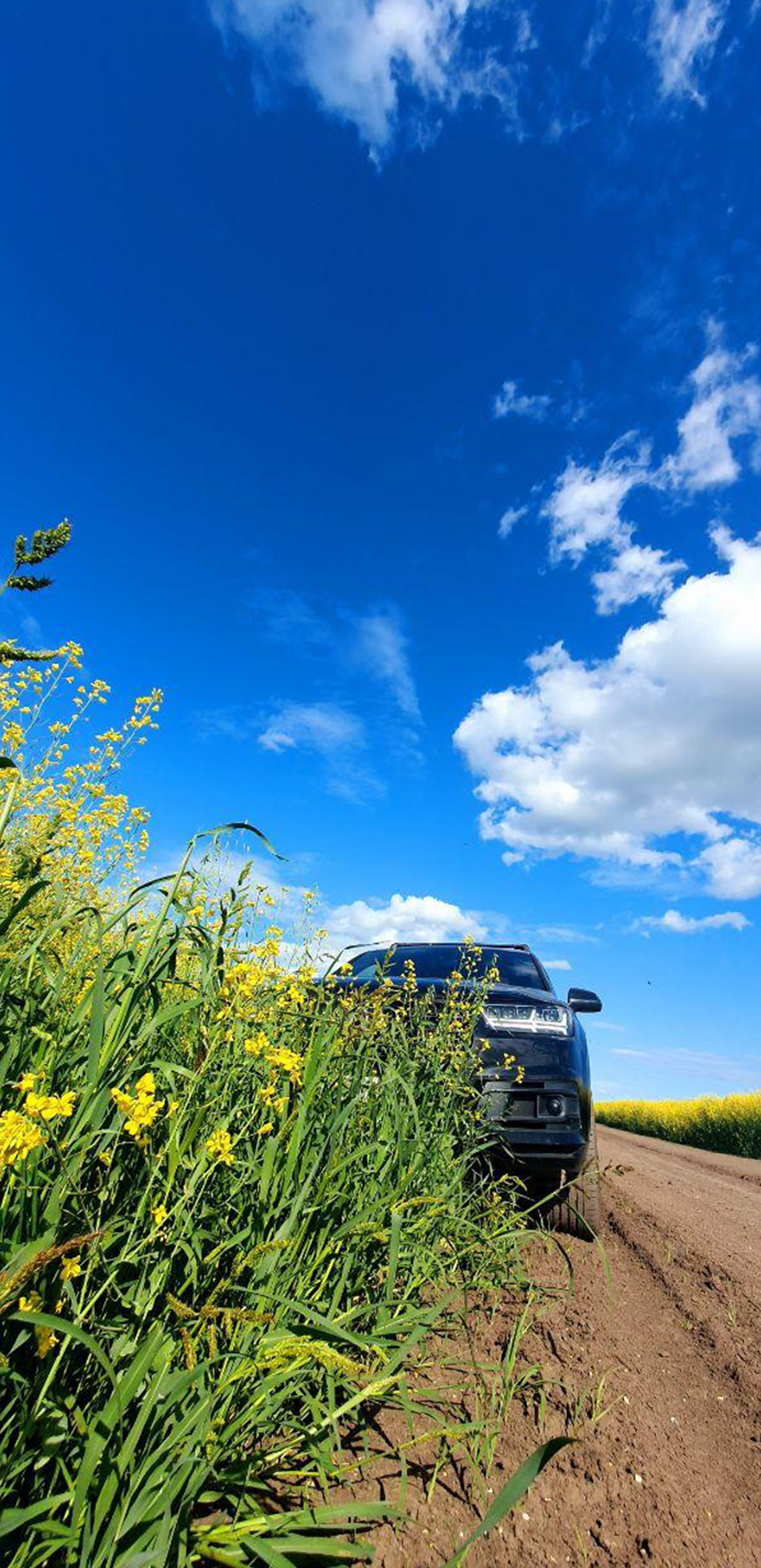 Мобильная съёмка. Часть 3. Фотограф в жанре Ню. Татьяна Хасанович. Красноярск