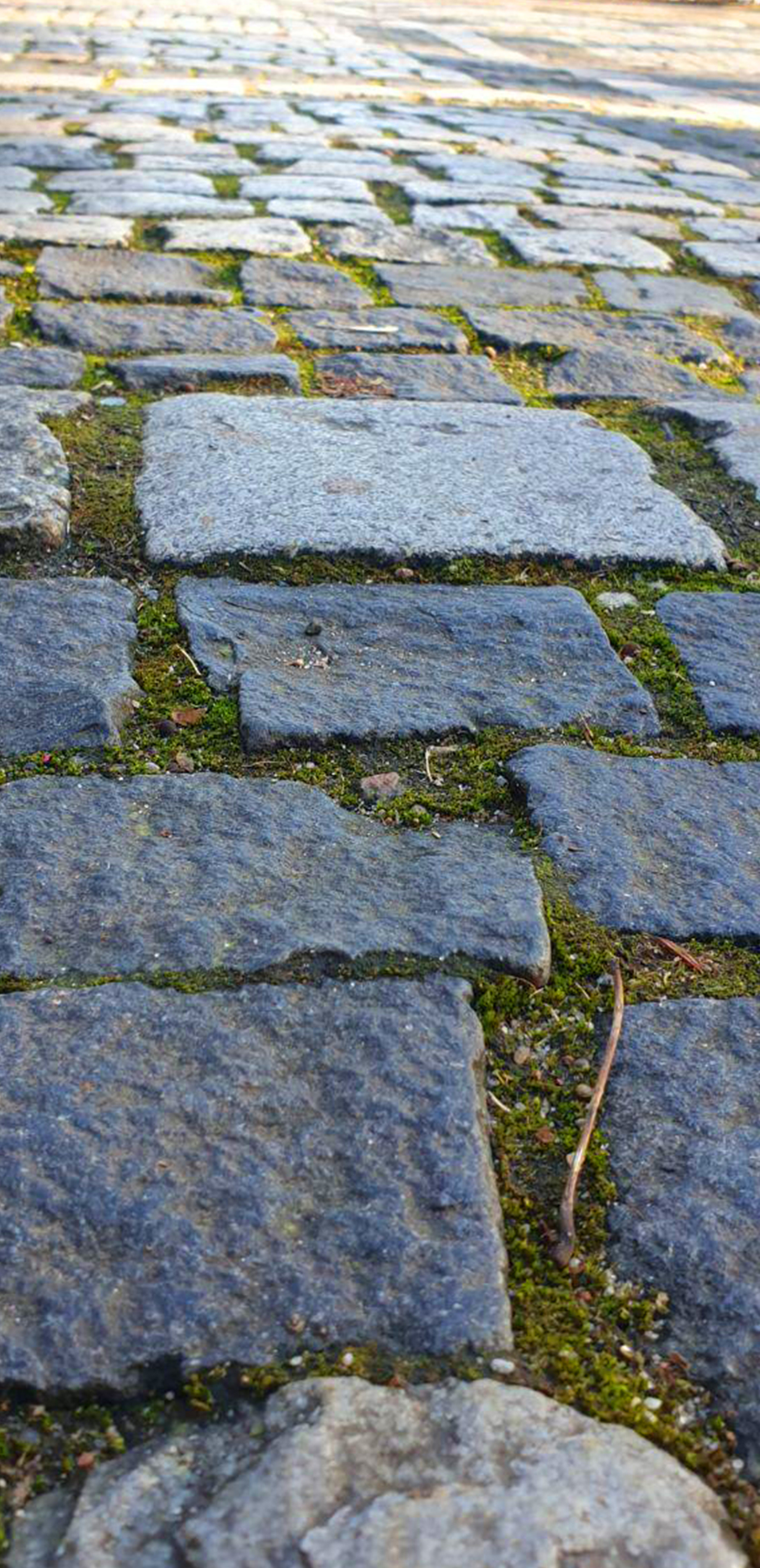 Мобильная съёмка. Часть 3. Фотограф в жанре Ню. Татьяна Хасанович. Красноярск