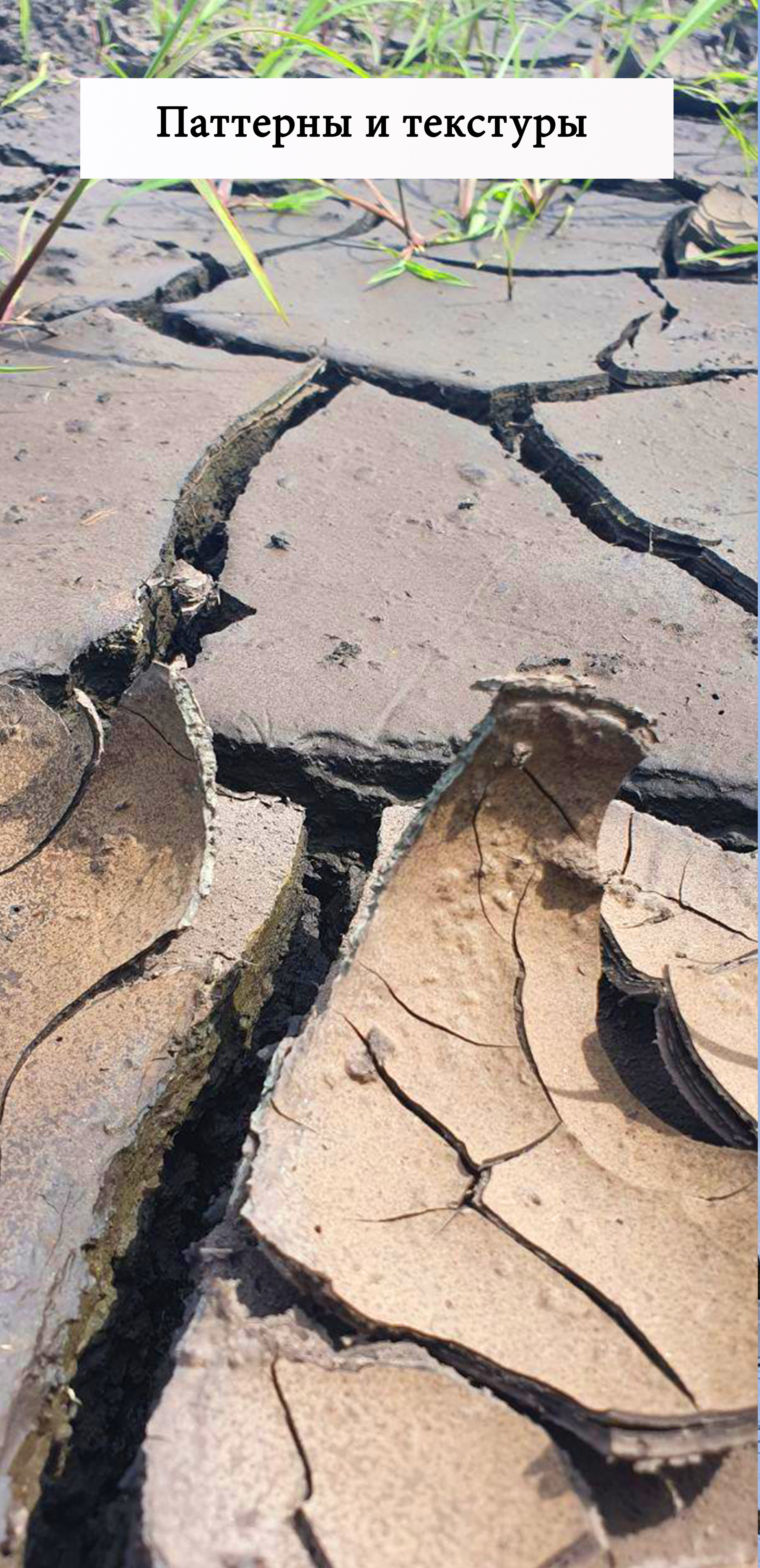 Мобильная съёмка. Часть 3. Фотограф в жанре Ню. Татьяна Хасанович. Красноярск