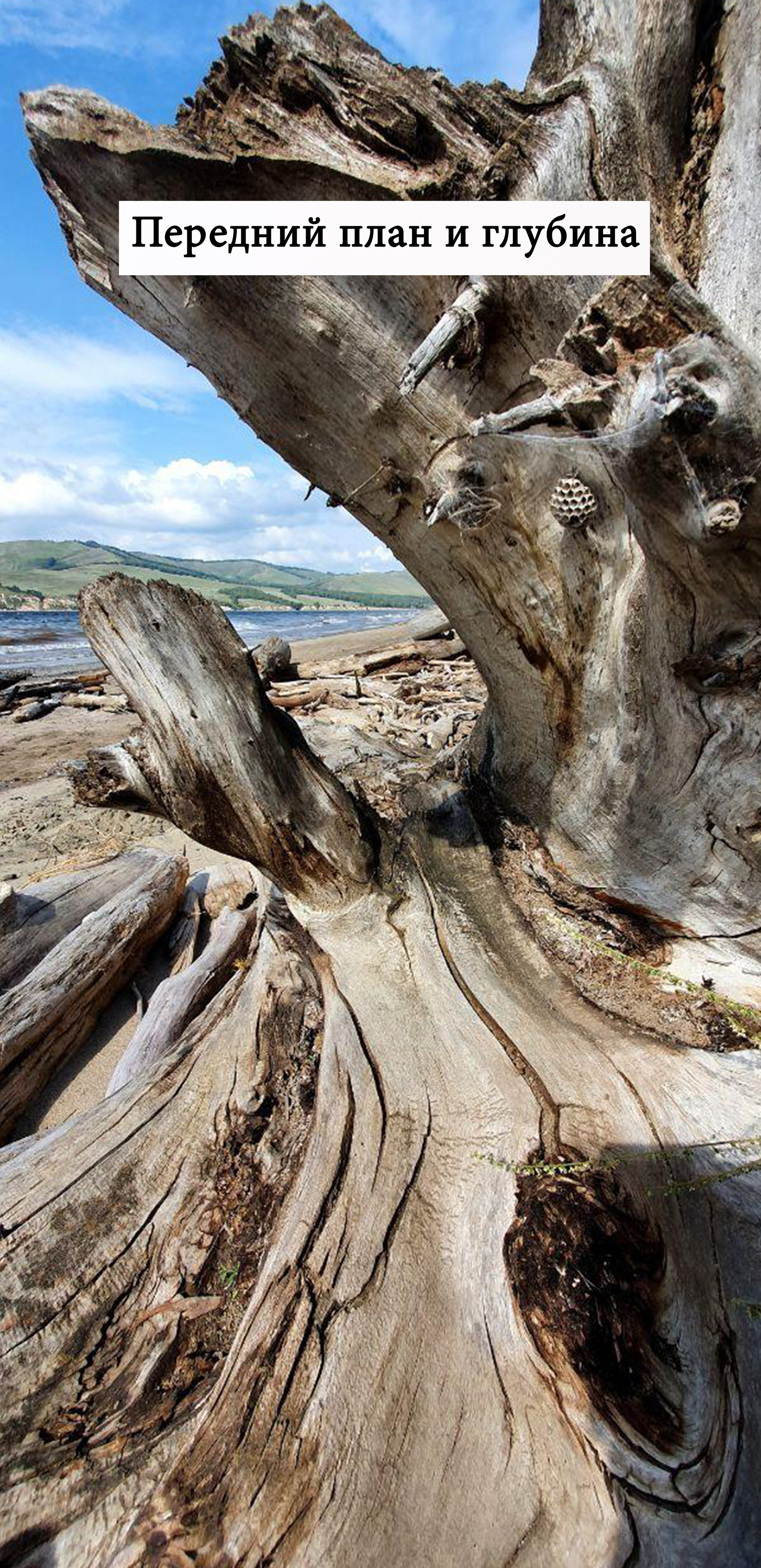 Мобильная съёмка. Часть 3. Фотограф в жанре Ню. Татьяна Хасанович. Красноярск