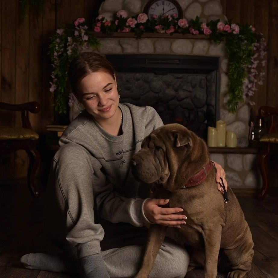 Познакомьтесь с Шар пей в Иркутске. Питомник собак Иркутск