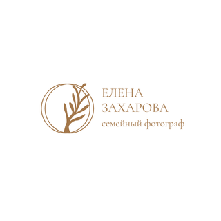 lenazak.wfolio.pro