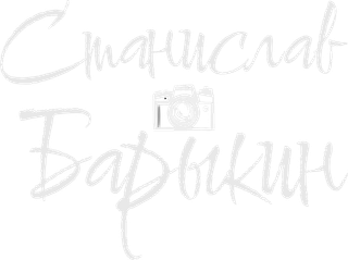 barykin-pro-photo.wfolio.pro