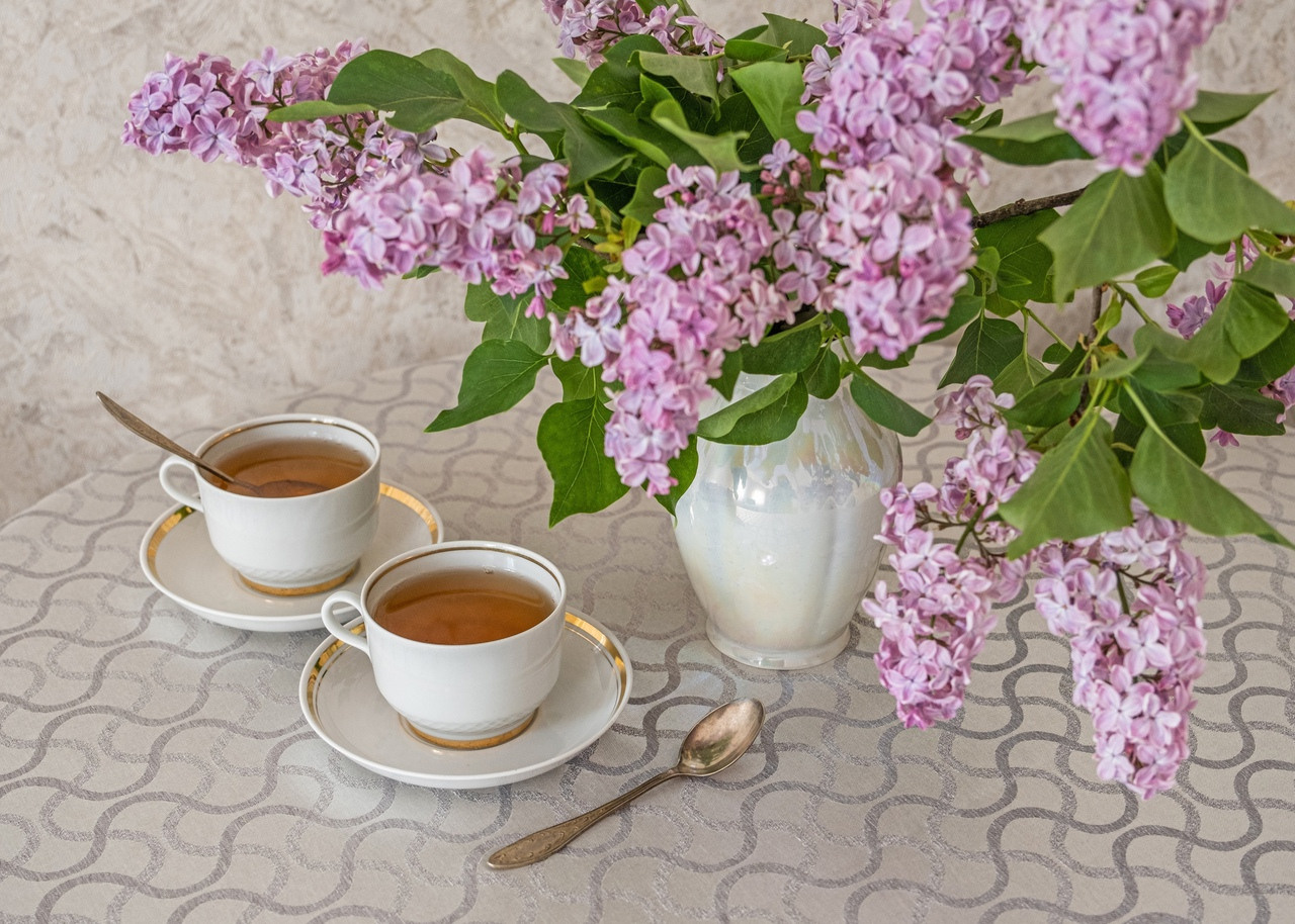 Lilac inspiration. Фотограф и искусствовед в Туле и Санкт-Петербурге Нелли Некрасова