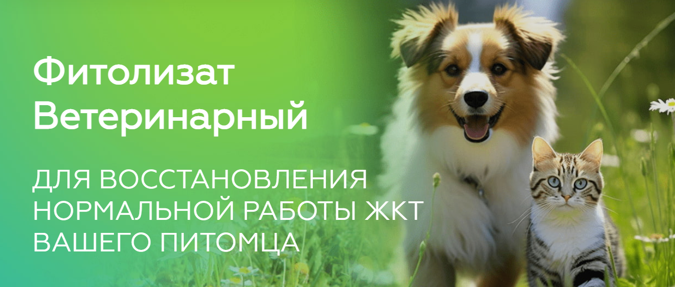 Фитолизат Ветеринарный. Медицина с душой