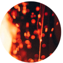 Интенсив «Дар Видеть»