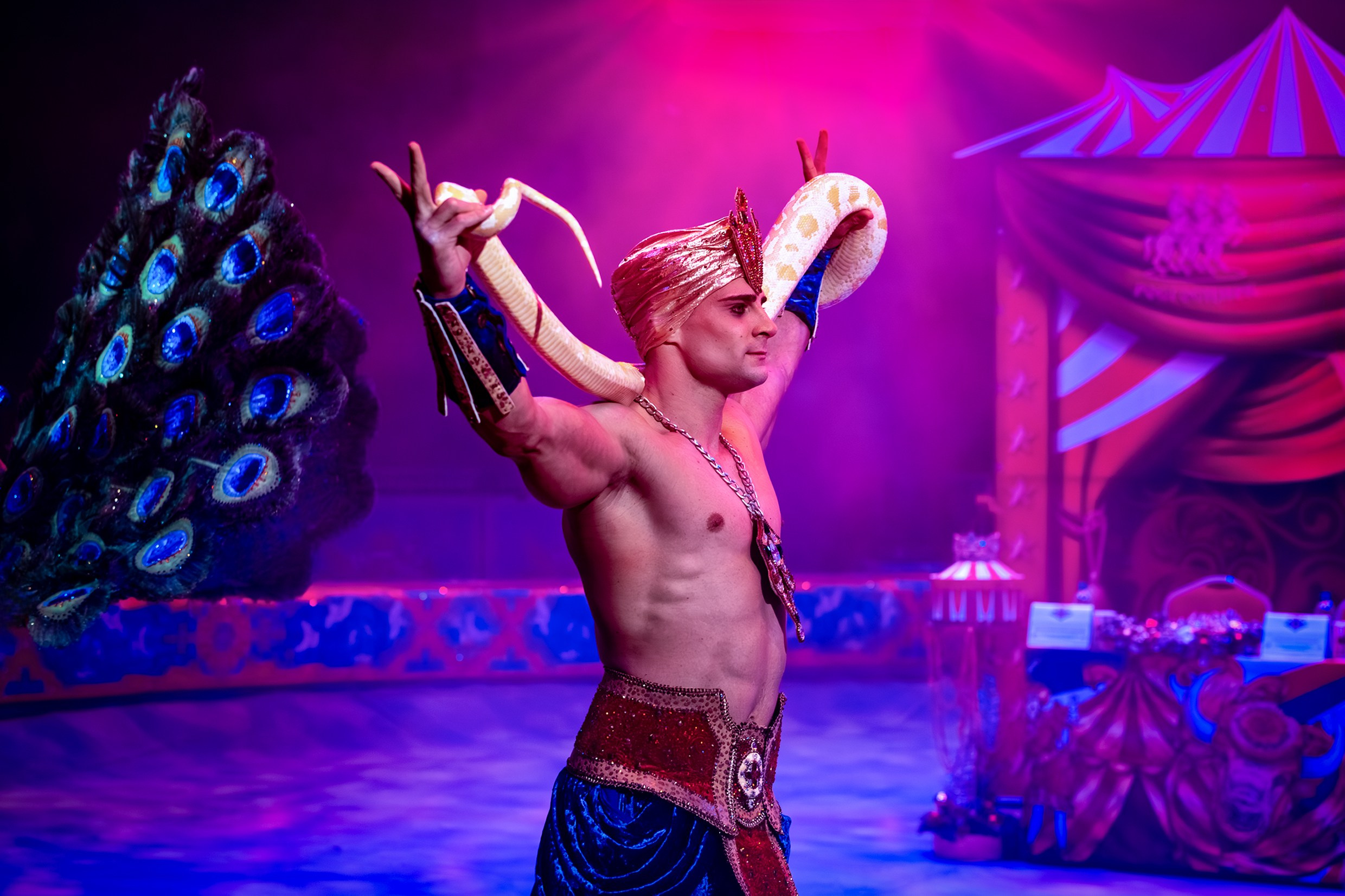 С 13 декабря в Пермском цирке стартуют гастроли нового масштабного шоу Гии Эрадзе «5 континентов». Журнал о самом особенном. Пермь и Пермский край