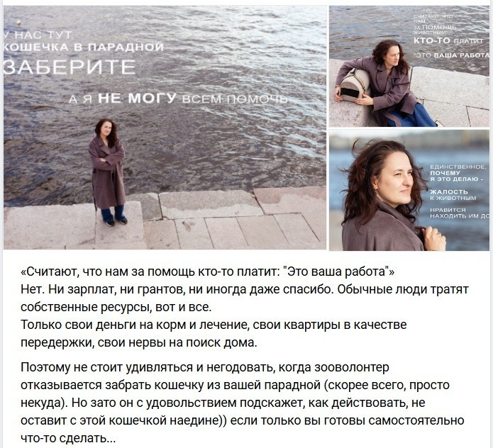 Фото-интервью с волонтерами, помогающими бездомным животным. Портретный фотограф в Санкт-Петербурге