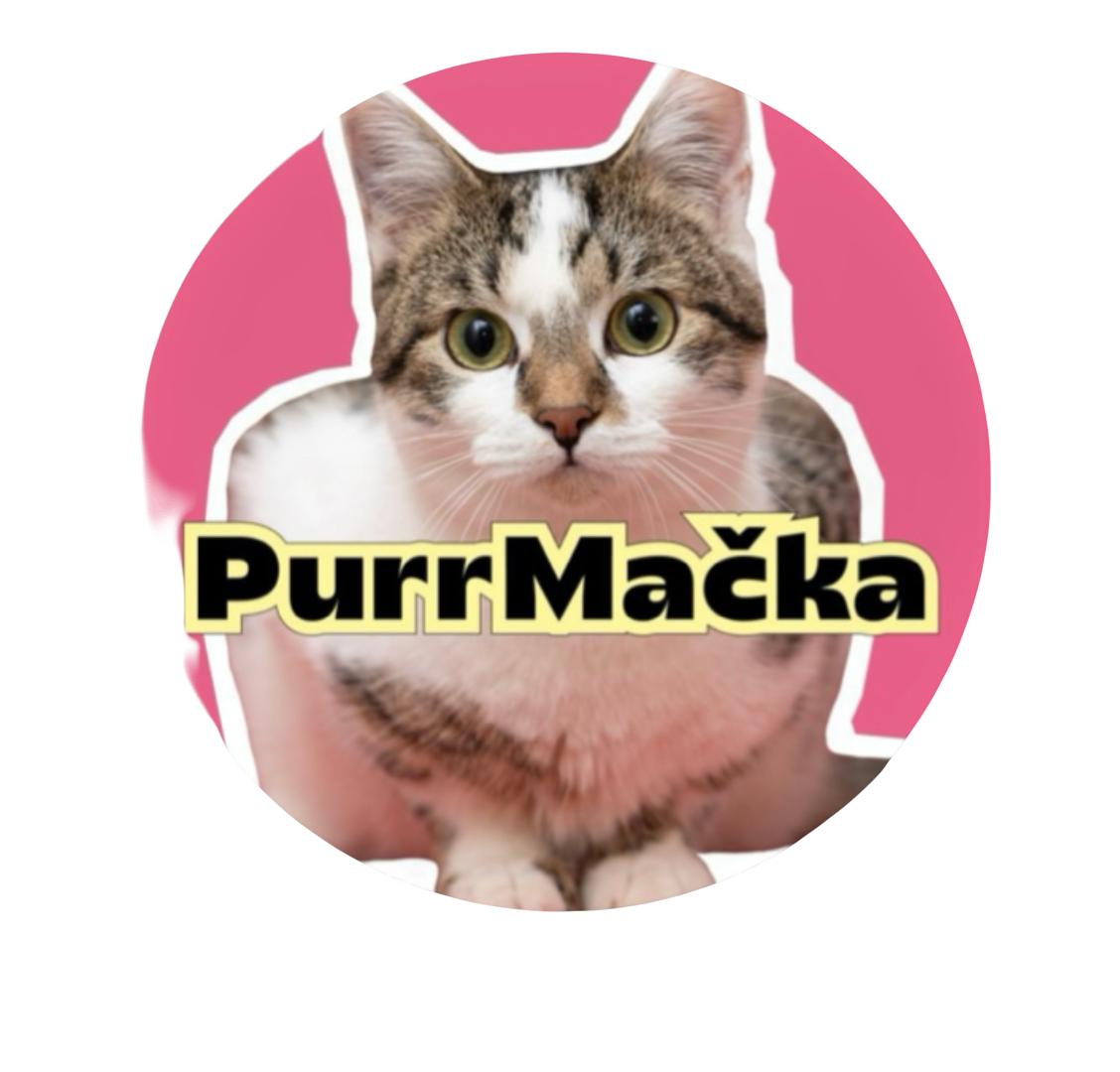 Тут. SMM-продвижение| Таргетированная реклама для бизнеса и специалистов | Контент-Продюсирование Маркетинг соц. сетей | Опыт 20+ ниш