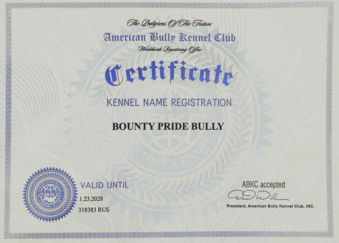 Контакты. Питомник американских булли Bounty Pride Bully