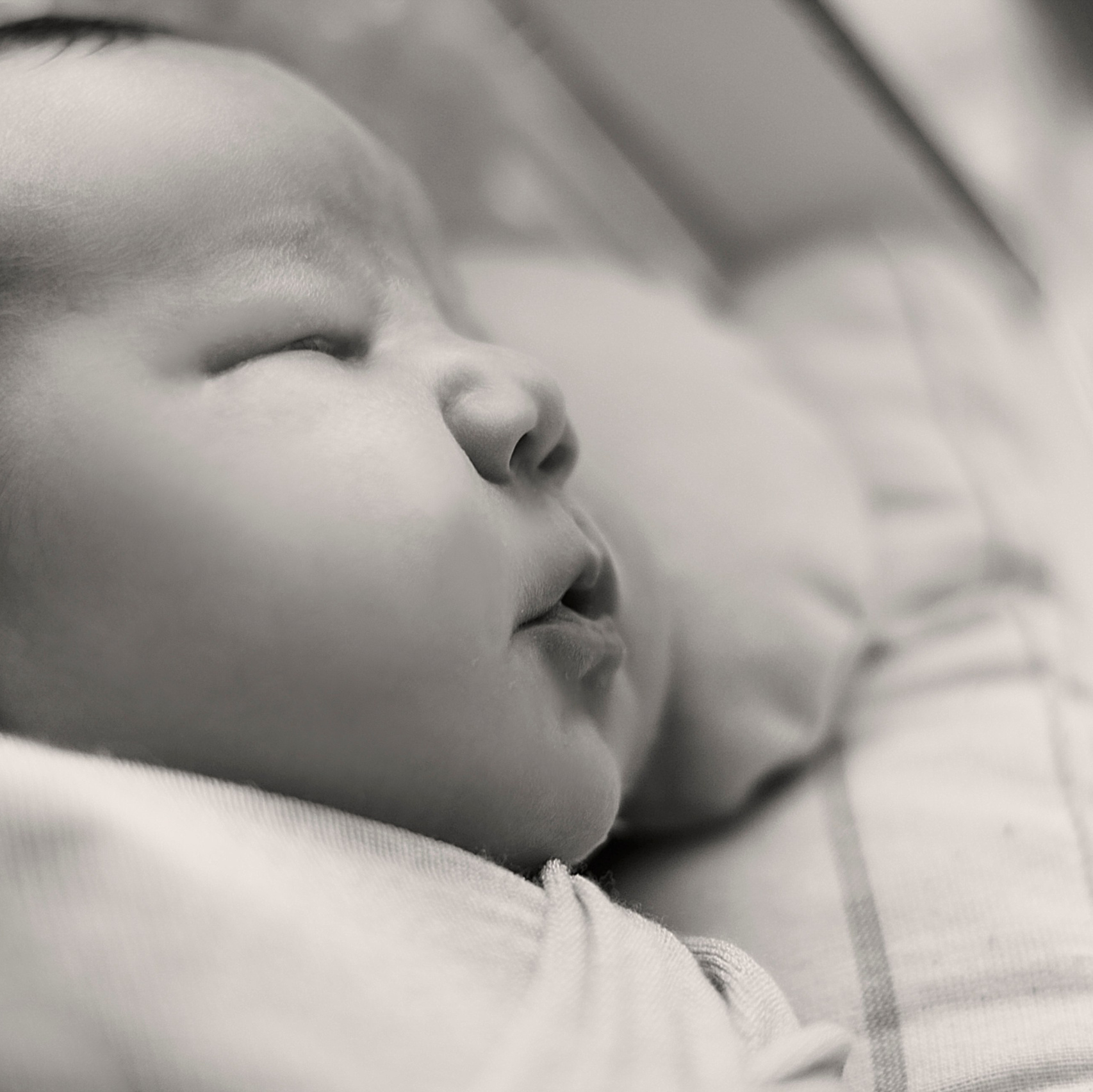 Курс «Я NEWBORN ФОТОГРАФ» Москва, Ростов-на-Дону