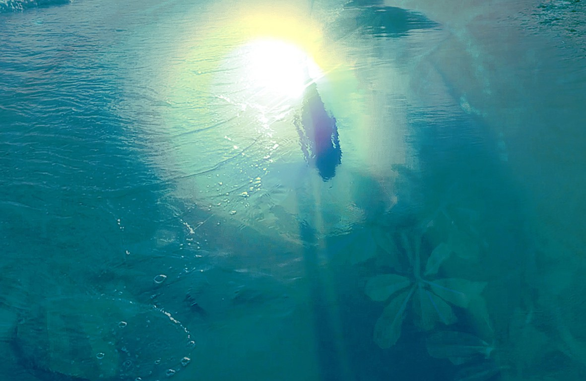 Екатерина Шафиева. ARTEXPOPHOTO