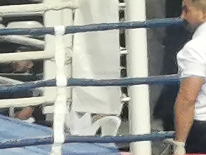 Рисунок телефона. Фотограф Екатерина Веденина