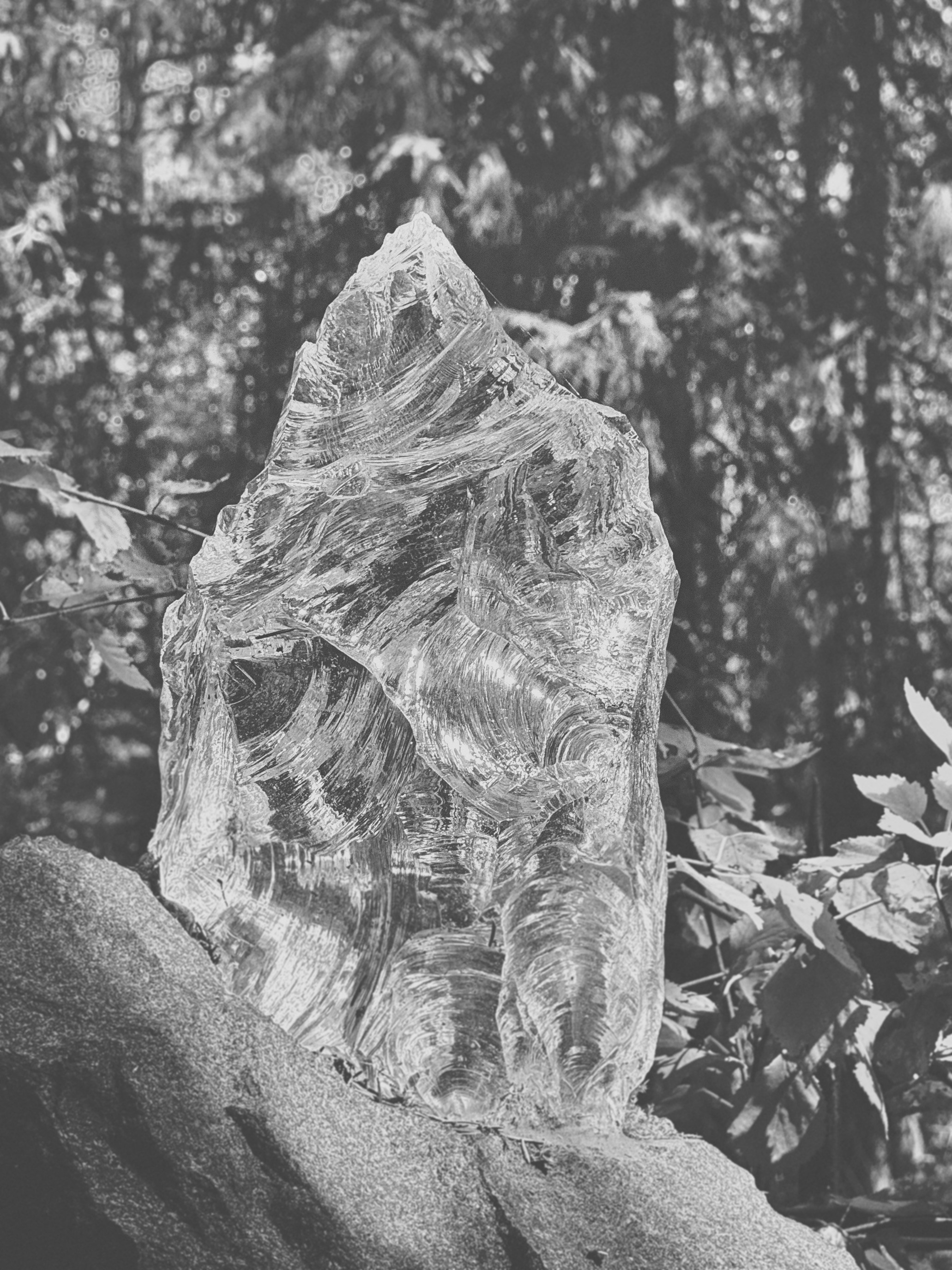 Наталья Яковлева — Комарово. Постпоэтическое