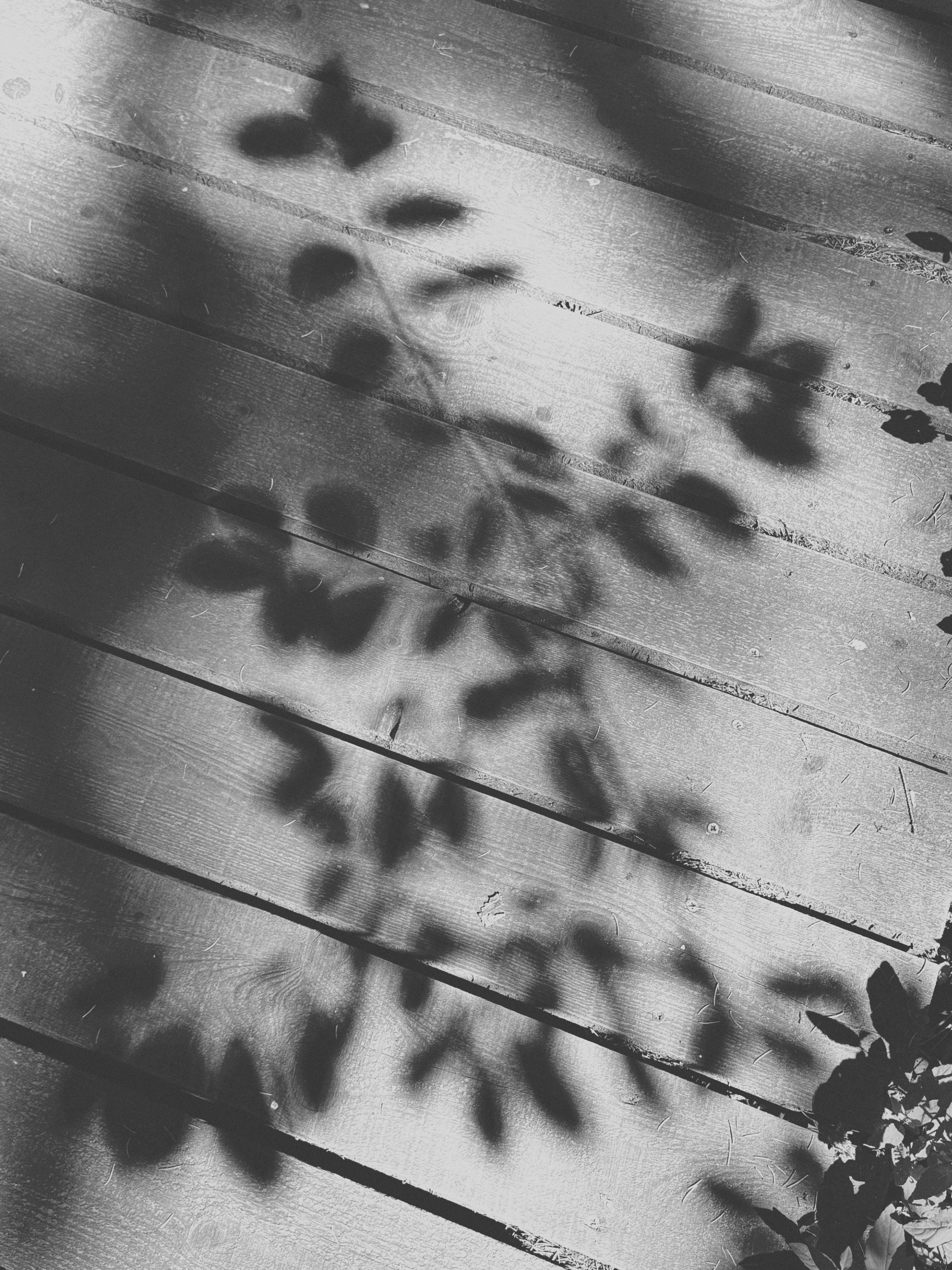 Наталья Яковлева — Комарово. Постпоэтическое