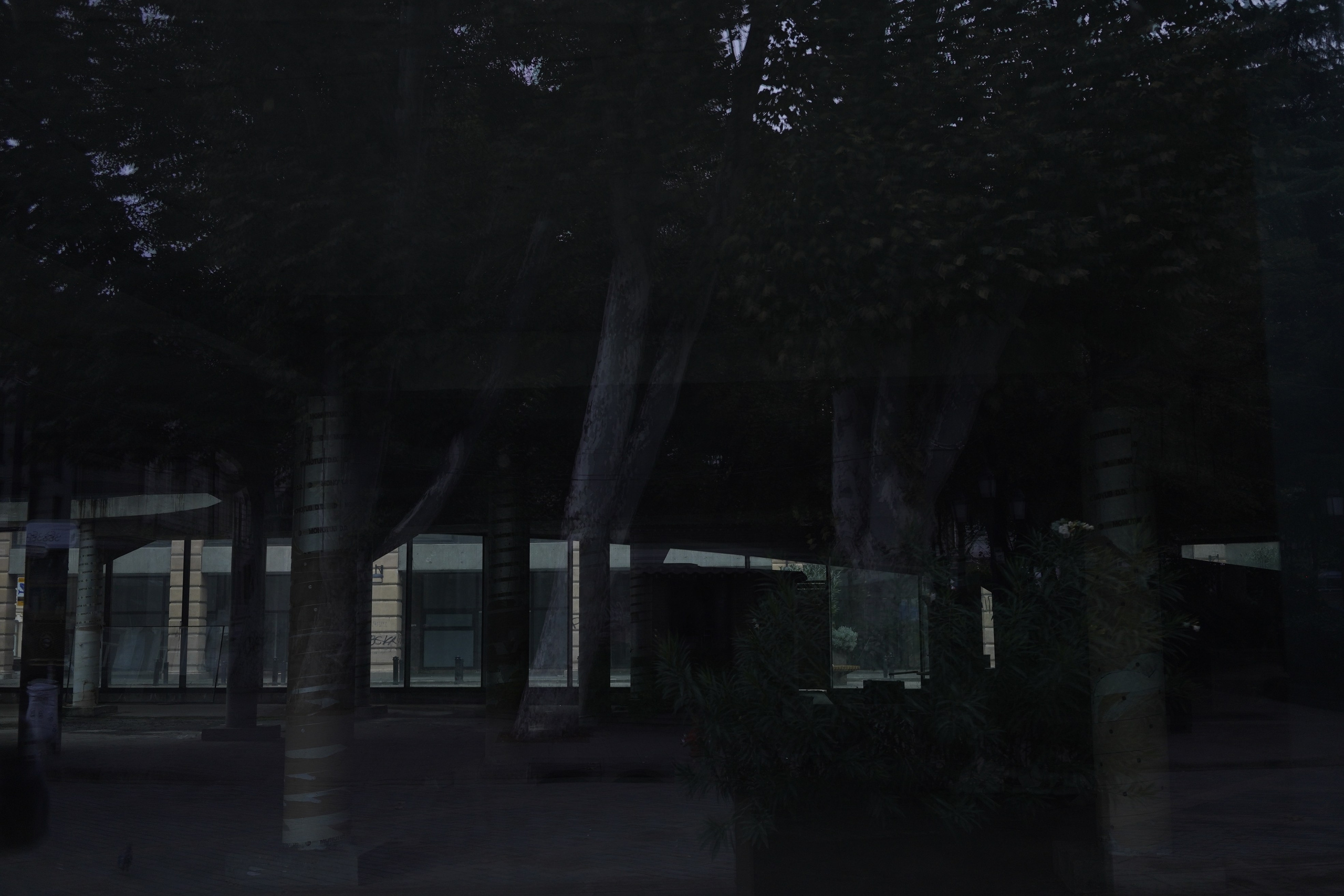 NO EDGE. Ksenia Pecherina