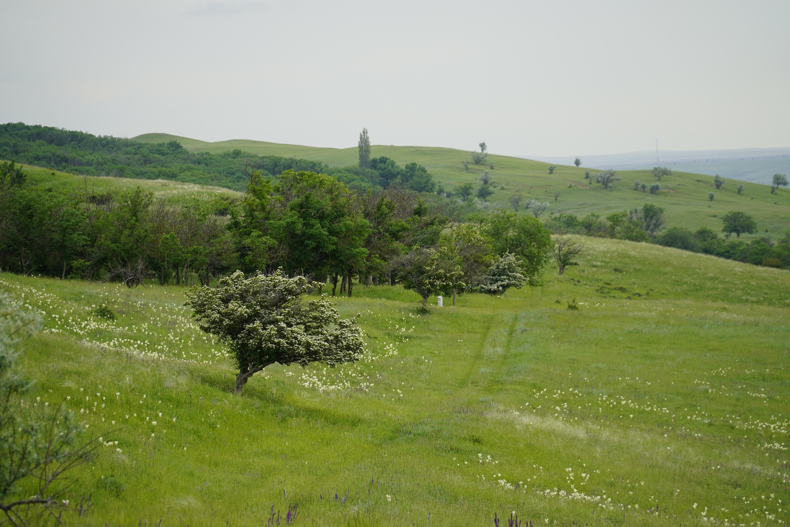 Локации и маршруты