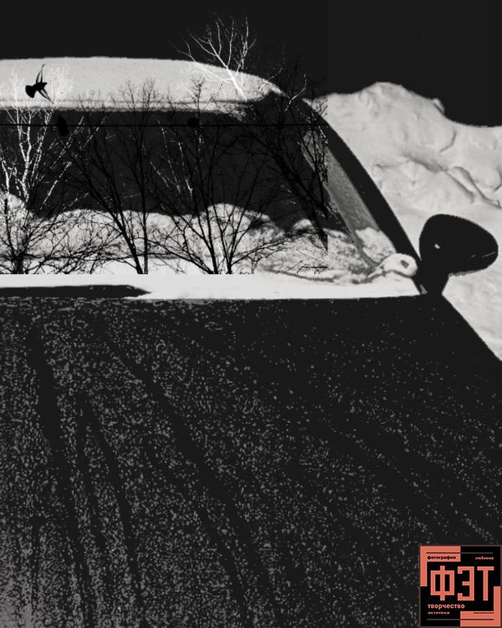 Альбом 15.02.26 в рамках ФЭТ