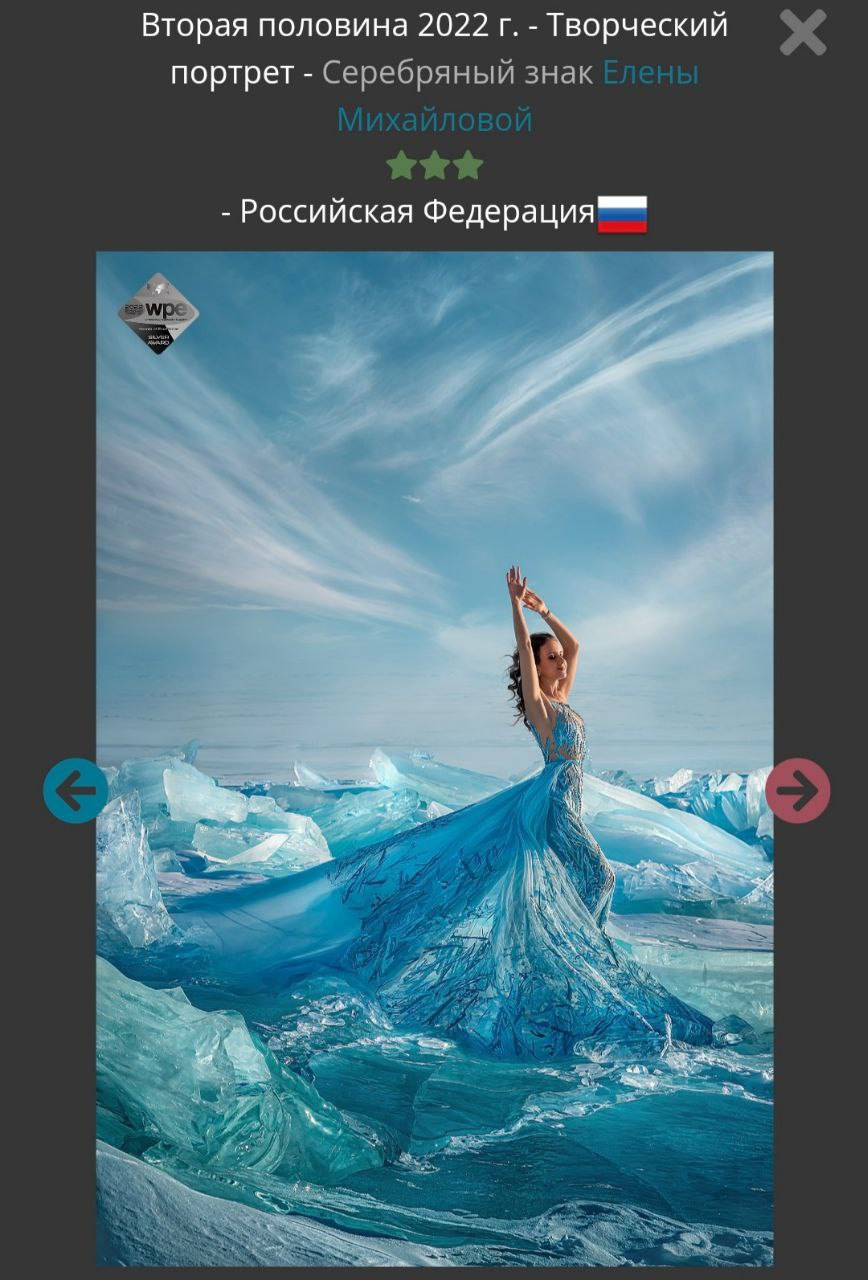 МОИ ДОСТИЖЕНИЯ. Детский и семейный фотограф Елена Михайлова в Москве