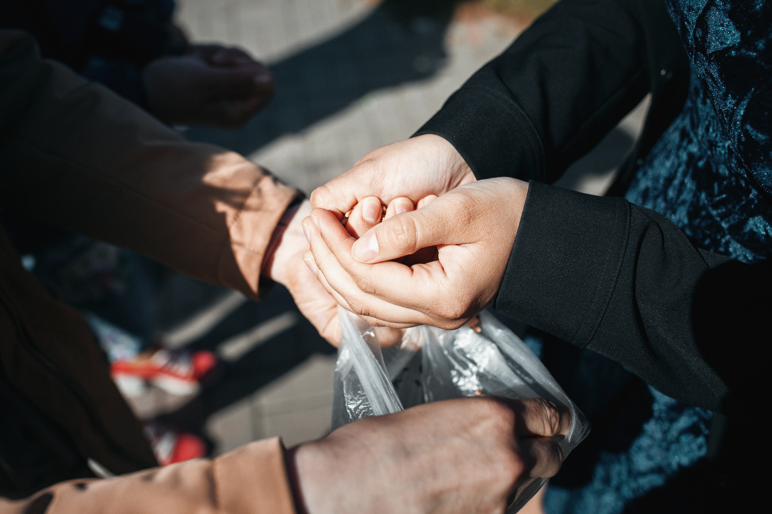 Фотосессия свадебного дня в Ботаническом саду, отеле Пекин