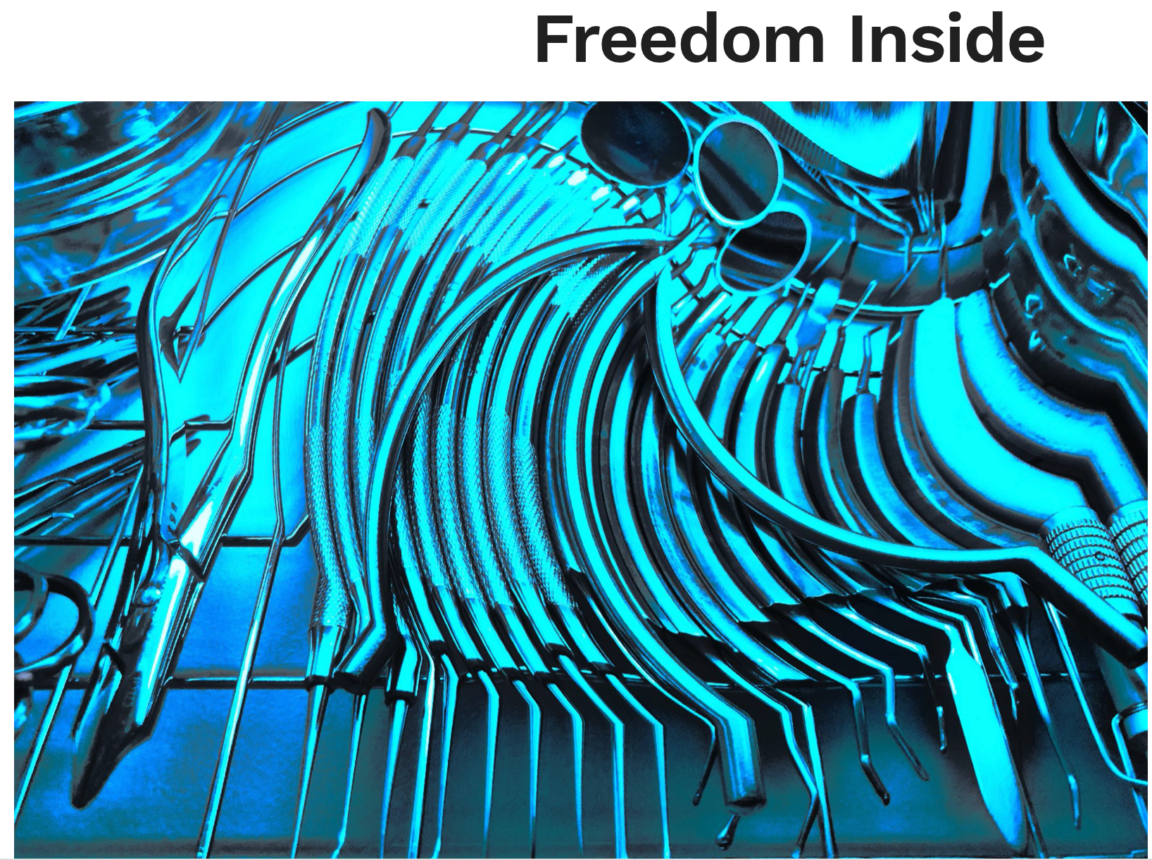 Публикации. Никонёнок Анна фотограф