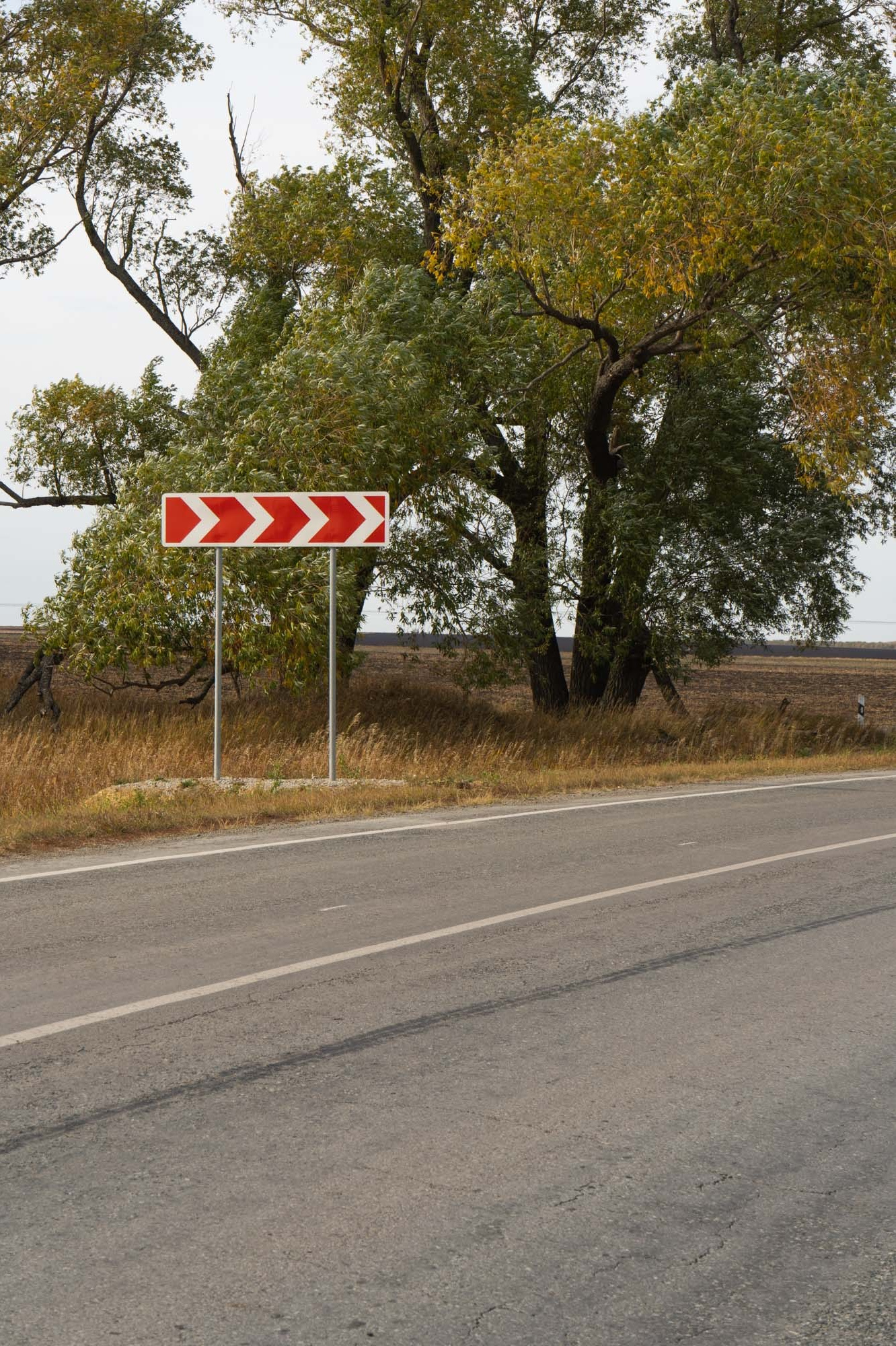 Траектория — Александр Барановский