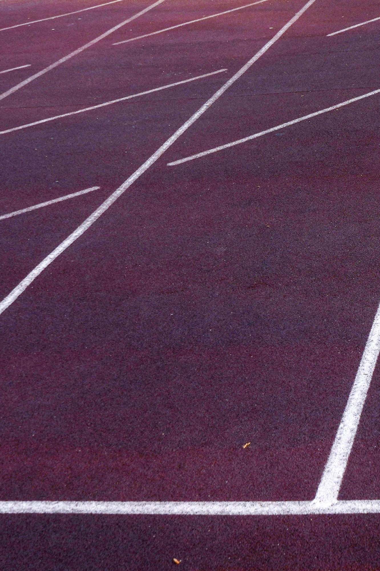 Траектория — Александр Барановский