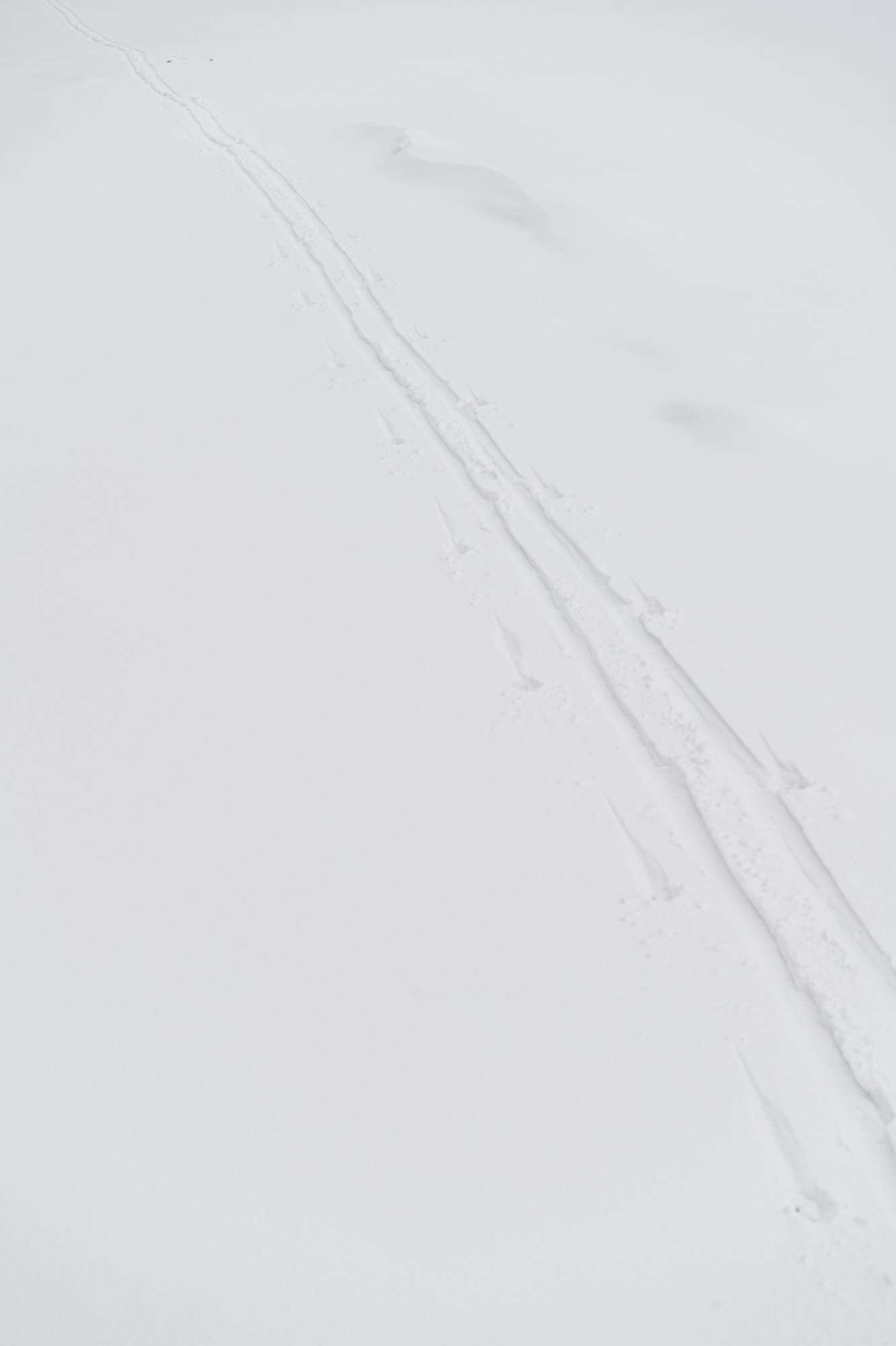 Траектория — Александр Барановский