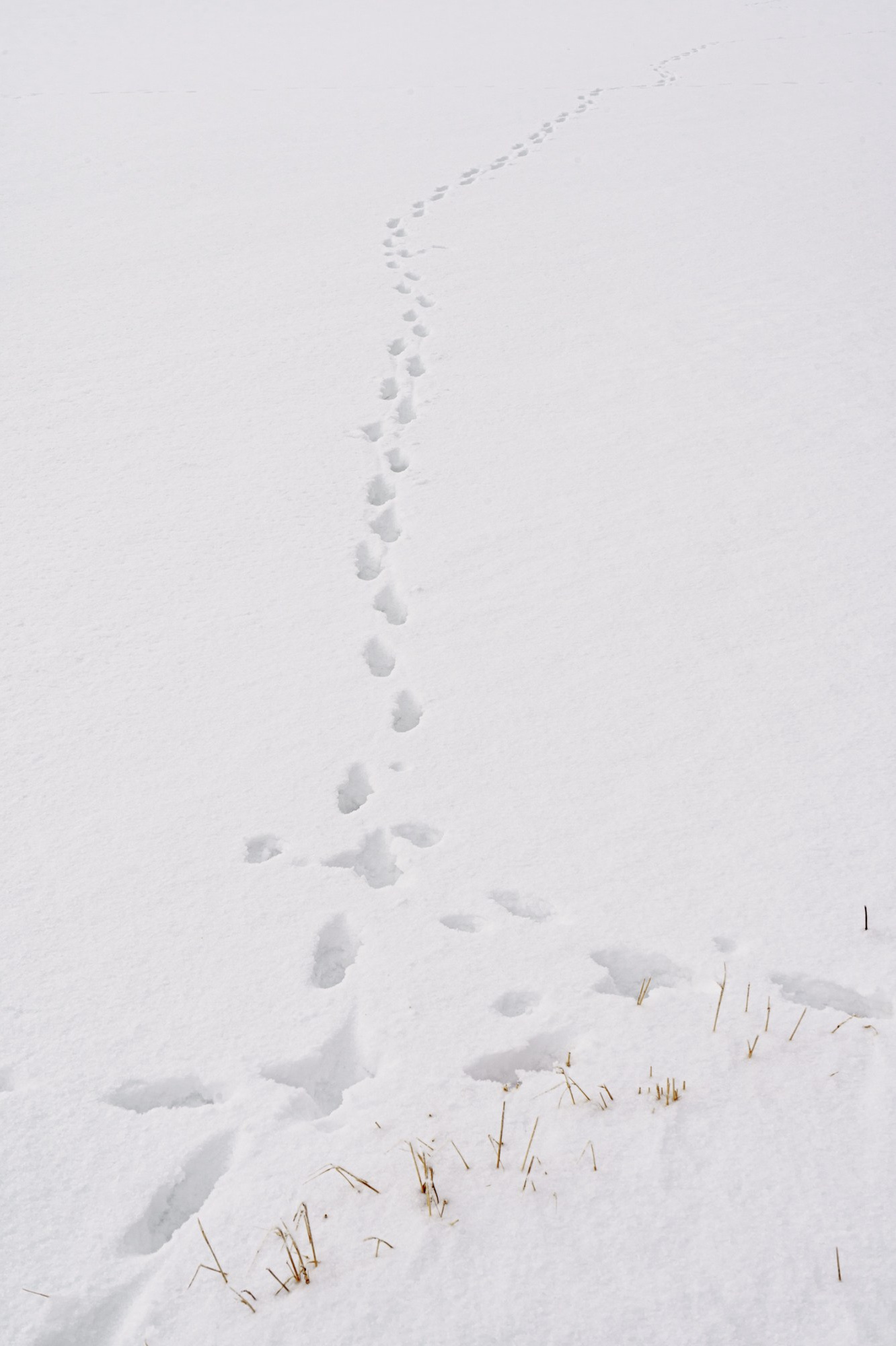 Траектория — Александр Барановский