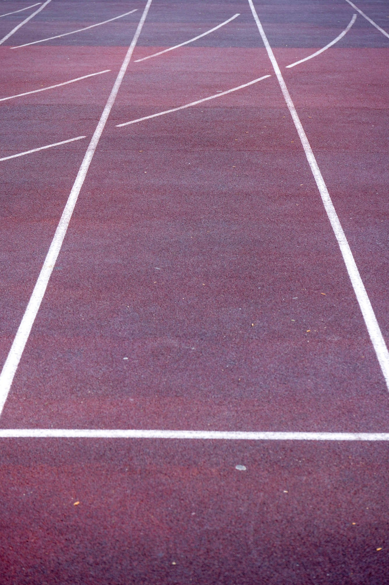 Траектория — Александр Барановский